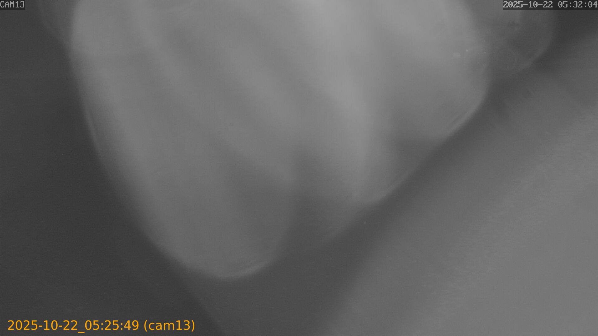 20251022052549