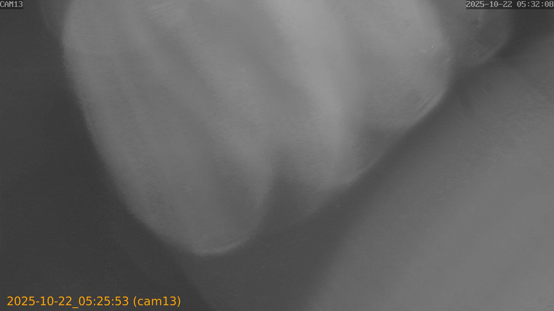 20251022052553