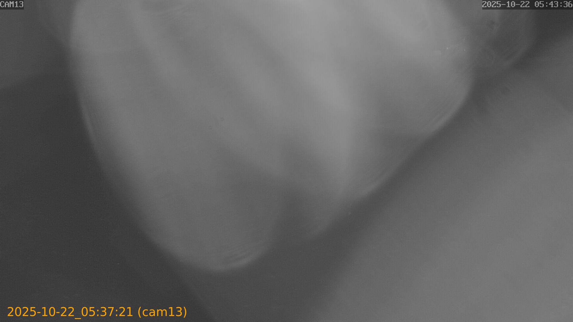 20251022053721