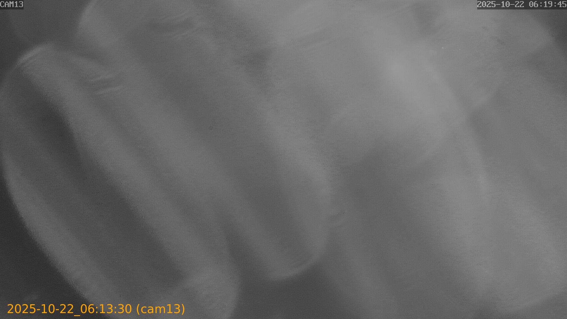 20251022061330