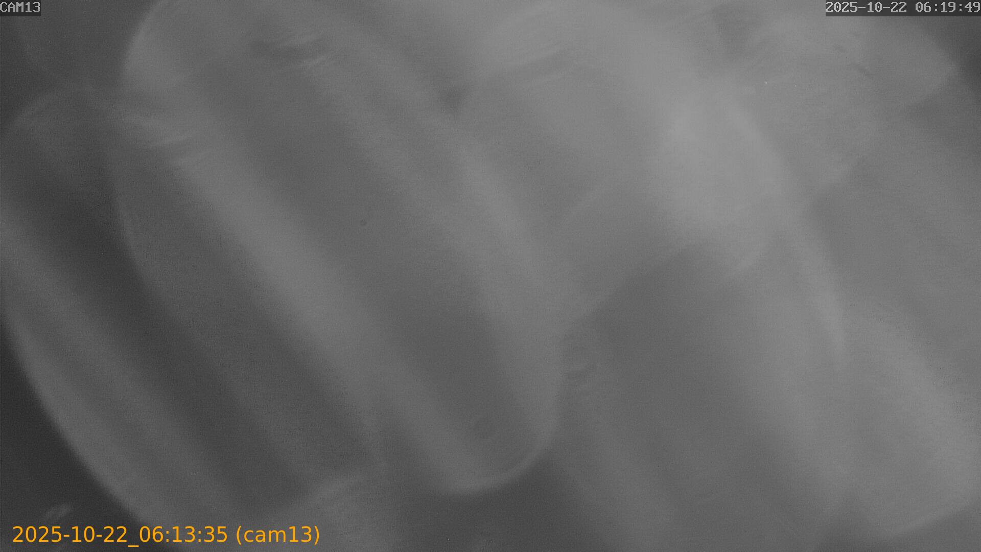 20251022061334