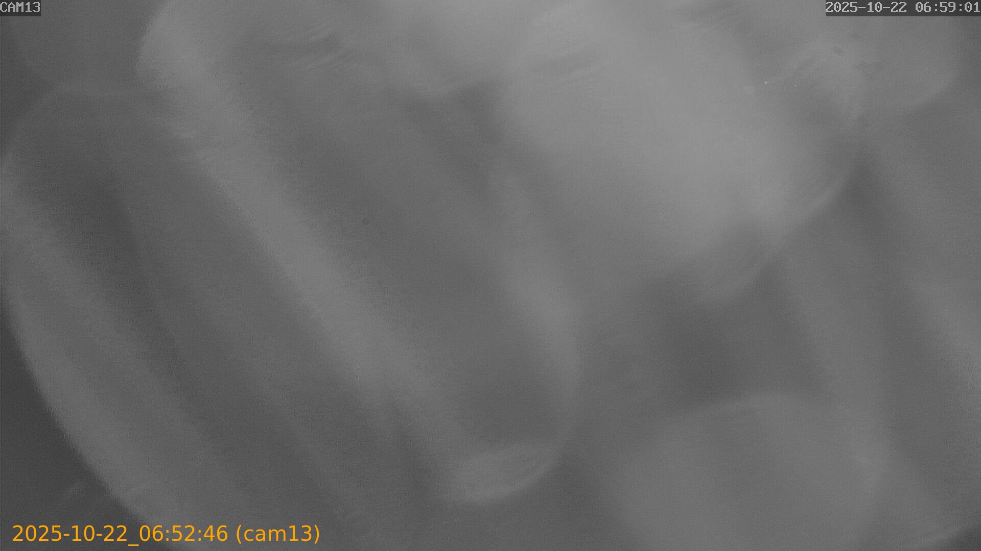 20251022065246