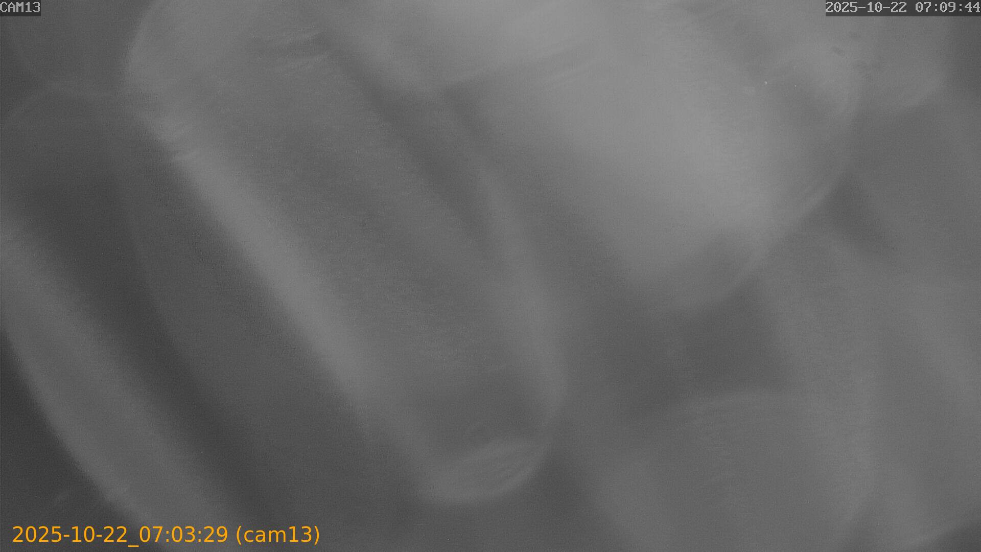 20251022070329