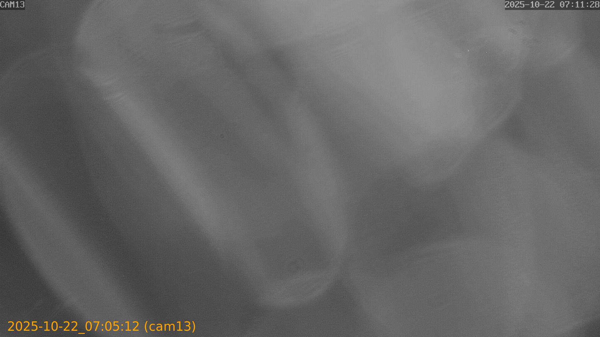 20251022070512