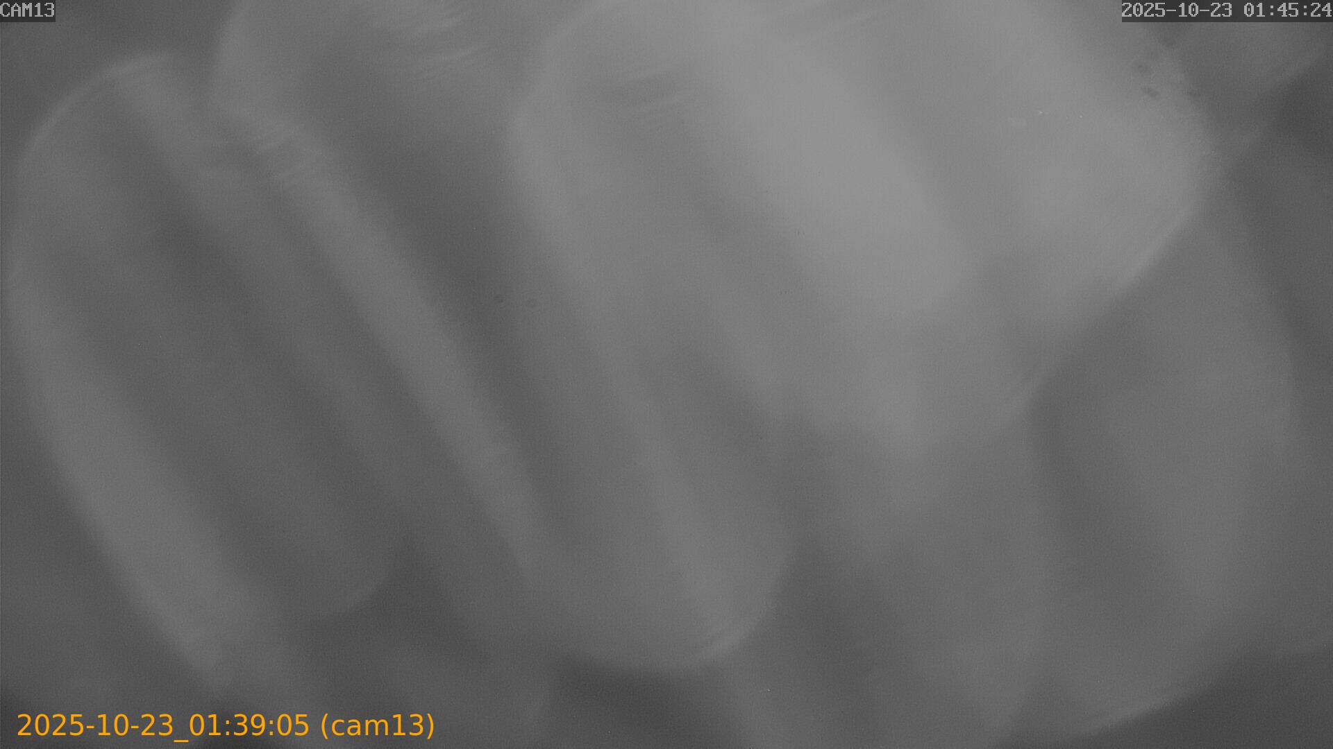 20251023013905
