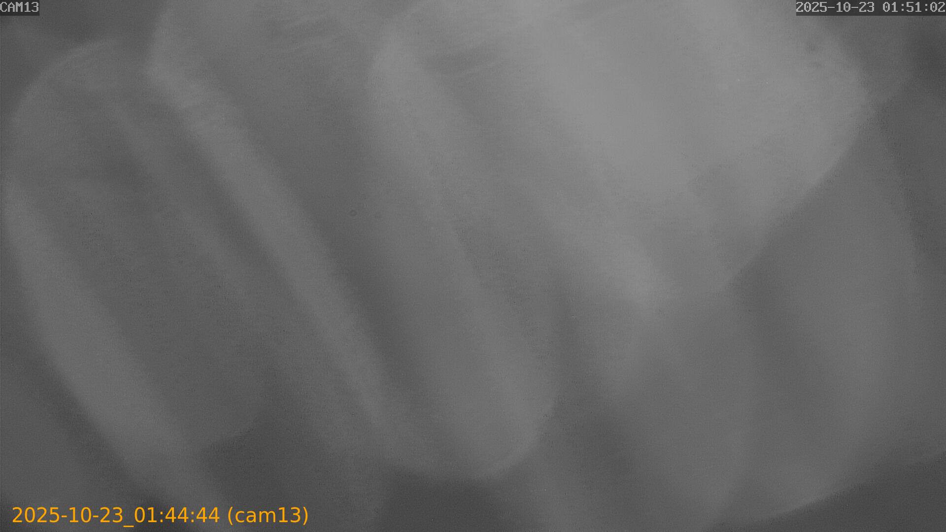 20251023014444