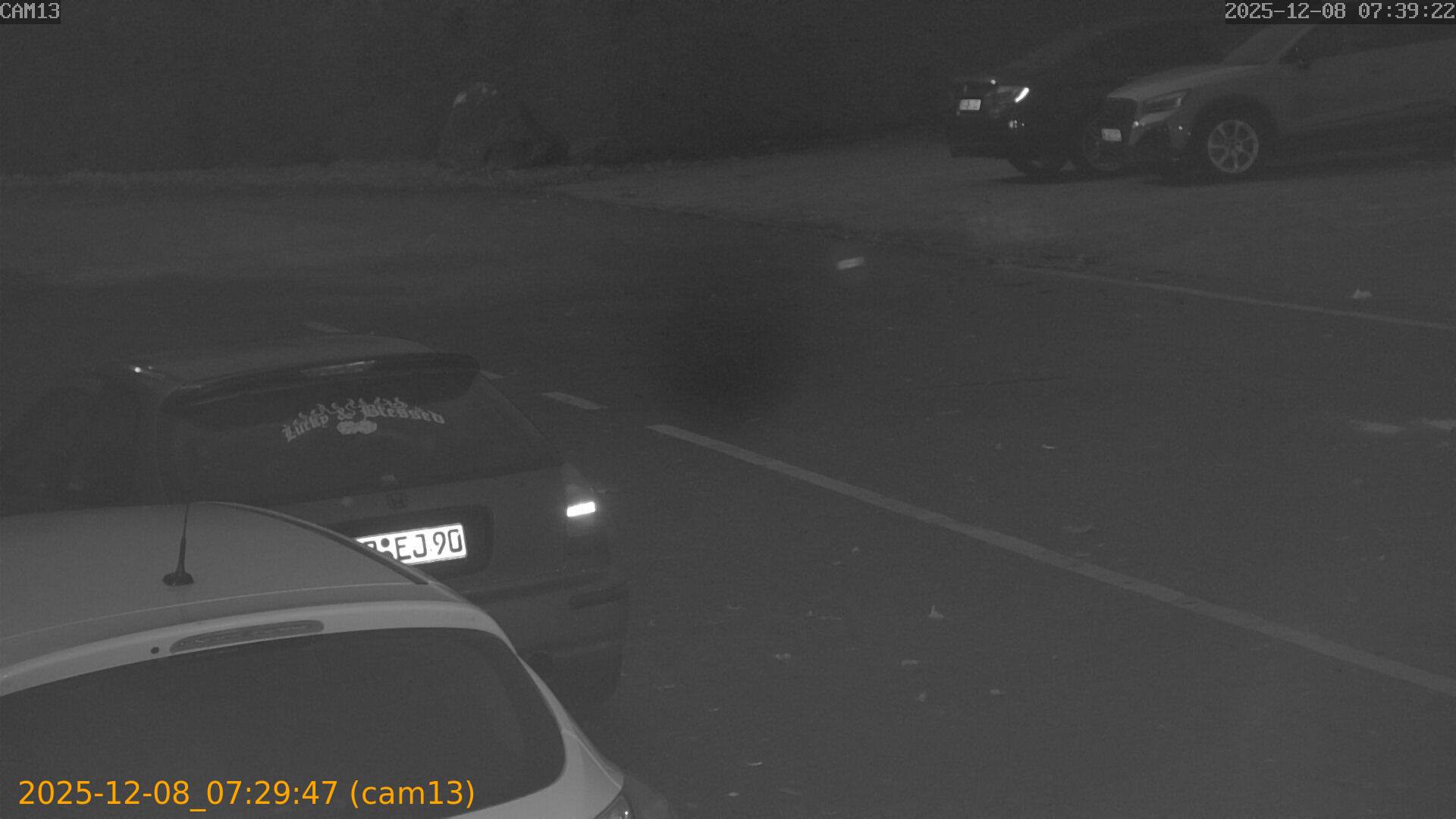 thumbnail_20251208072947