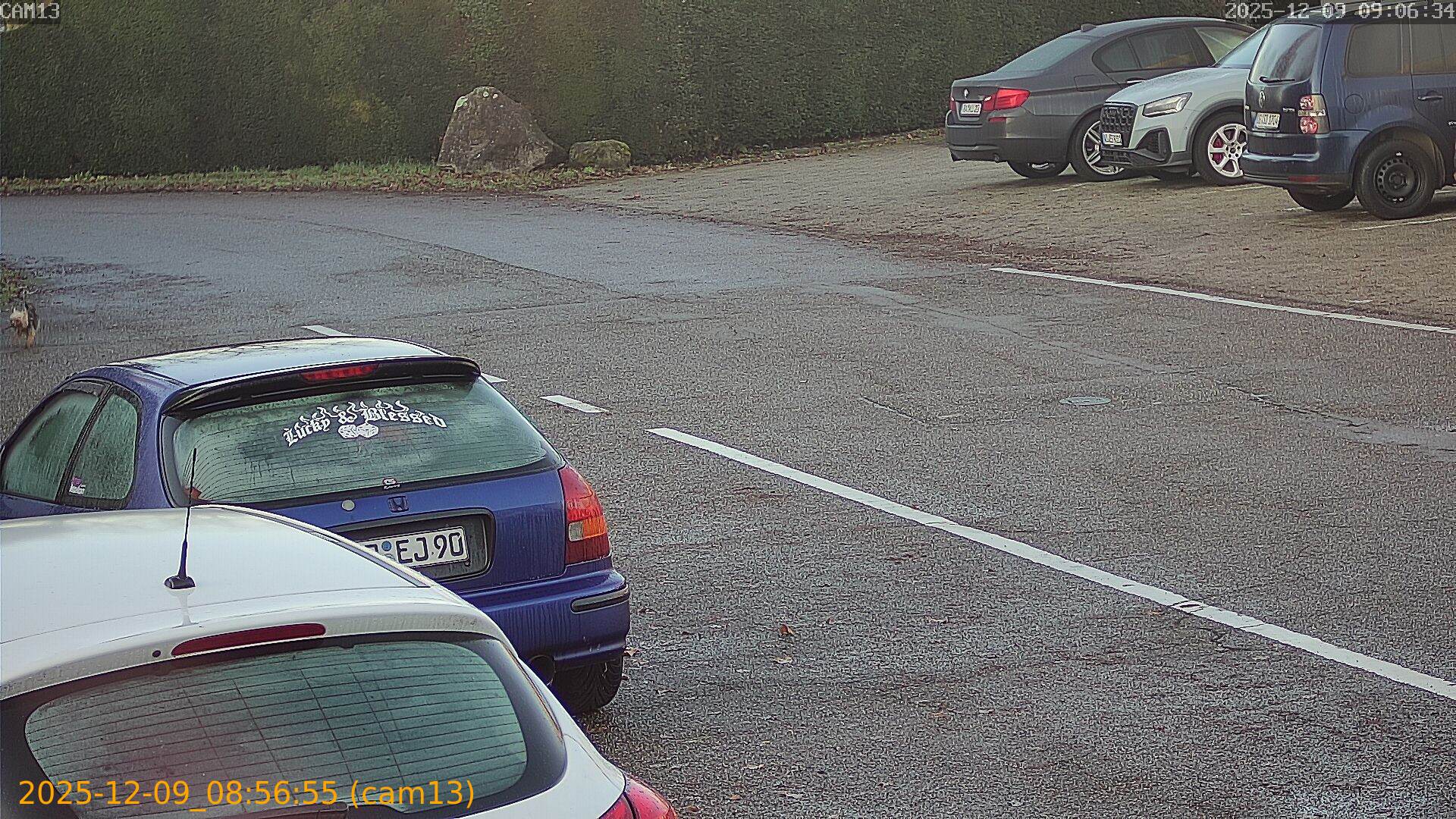 thumbnail_20251209085655