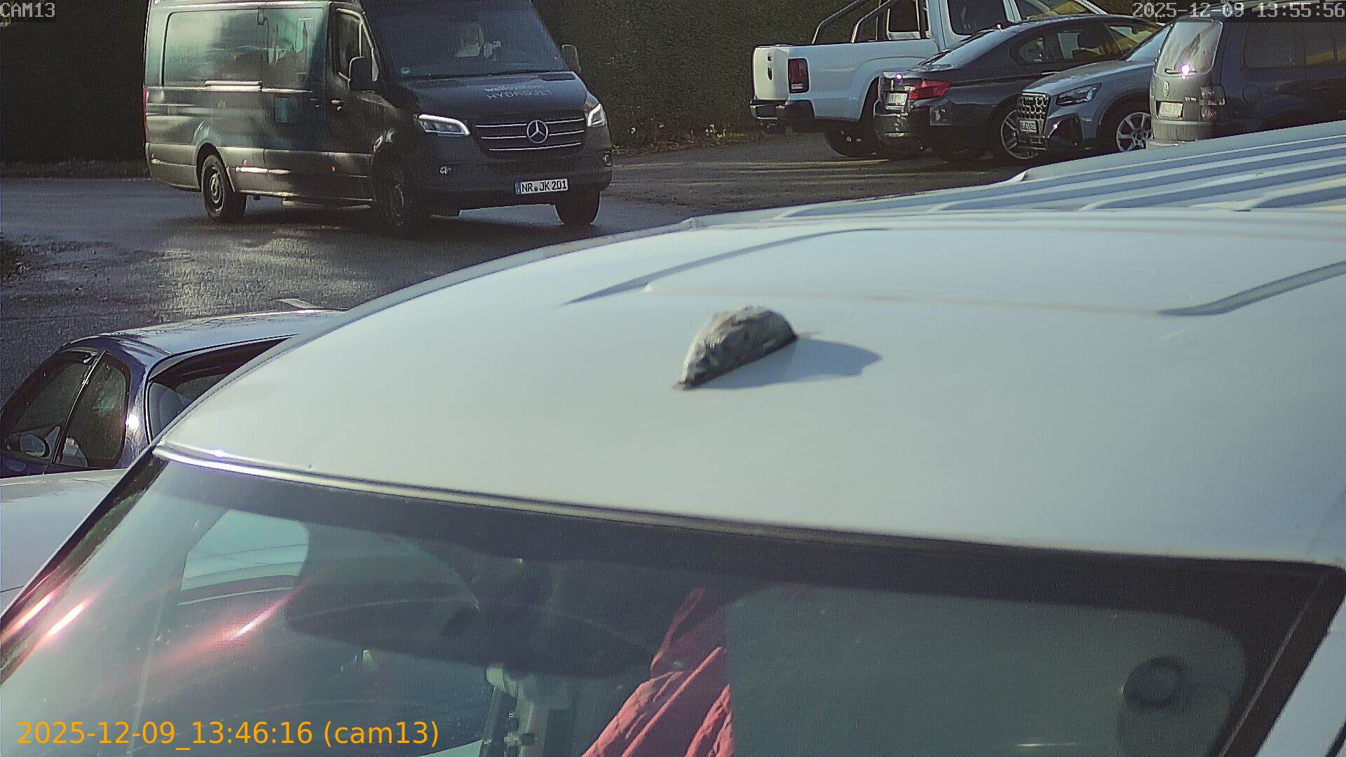 thumbnail_20251209134616