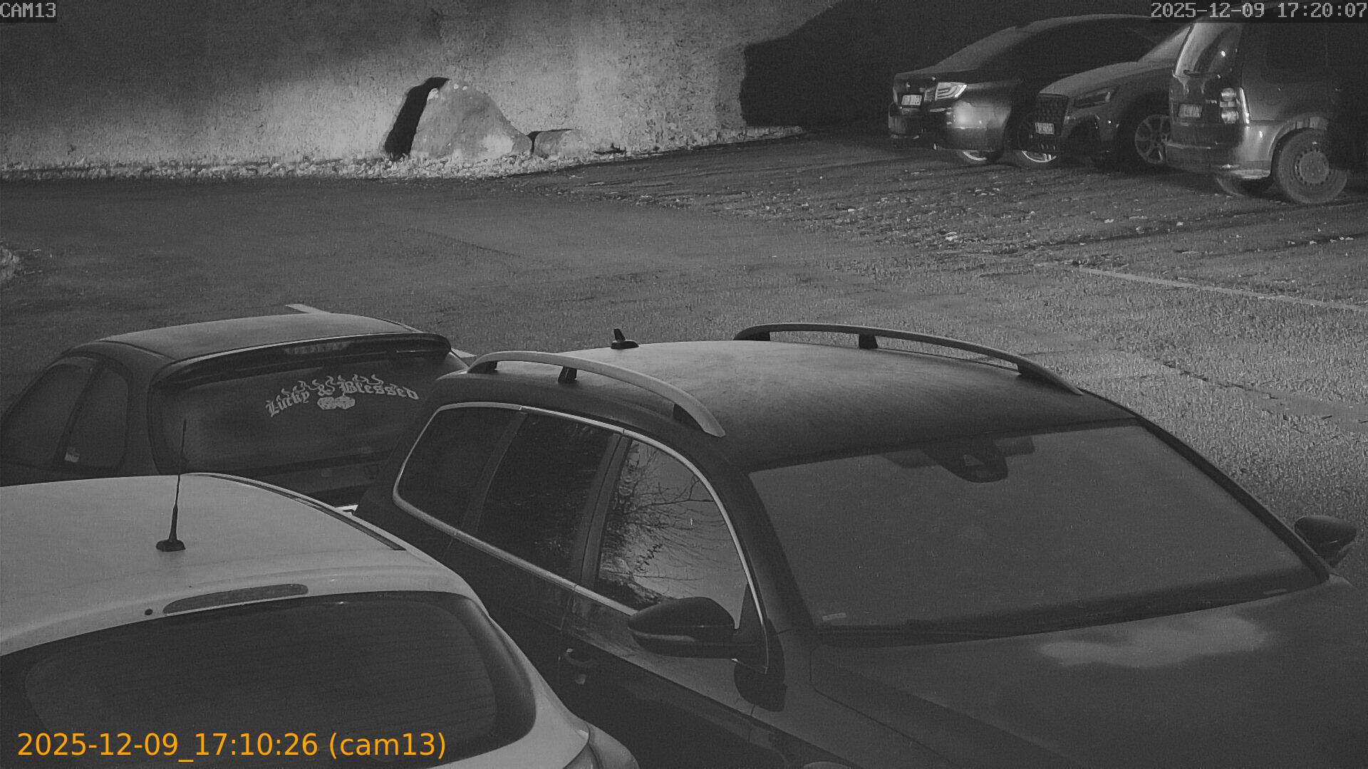 thumbnail_20251209171026