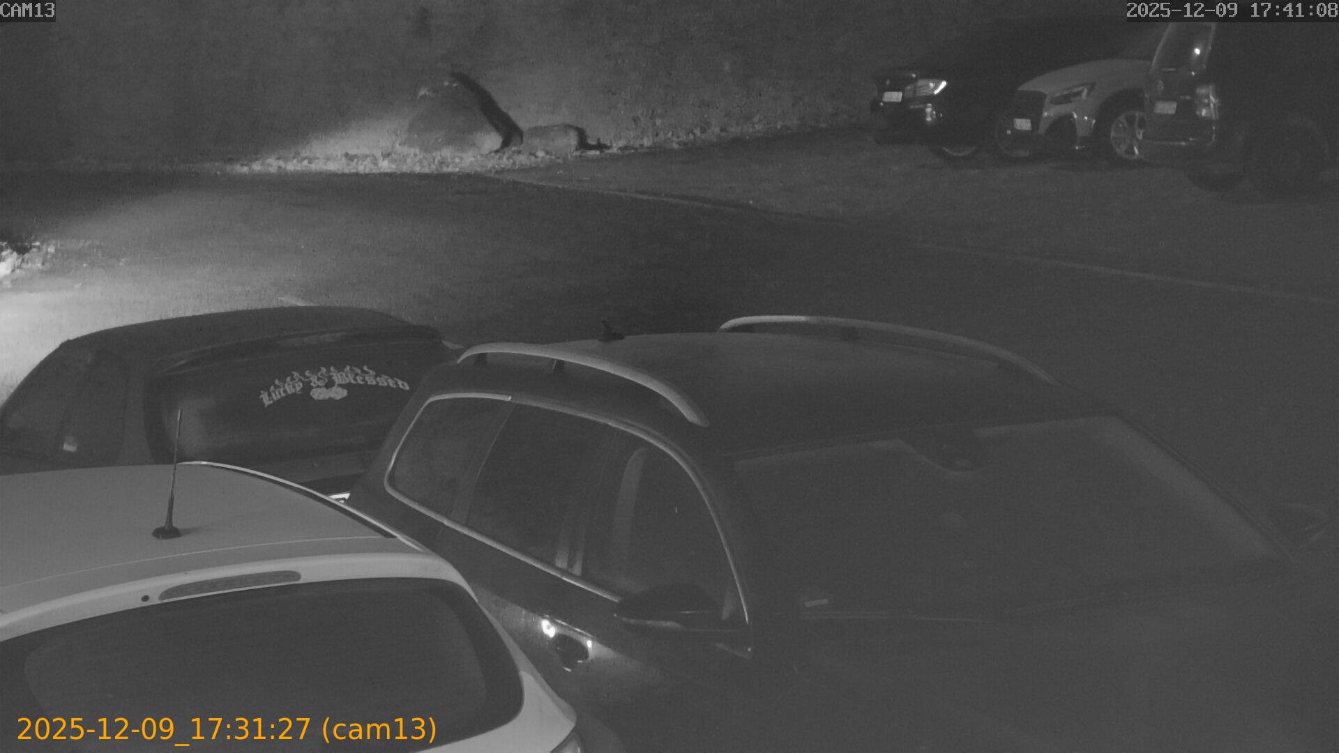 thumbnail_20251209173127