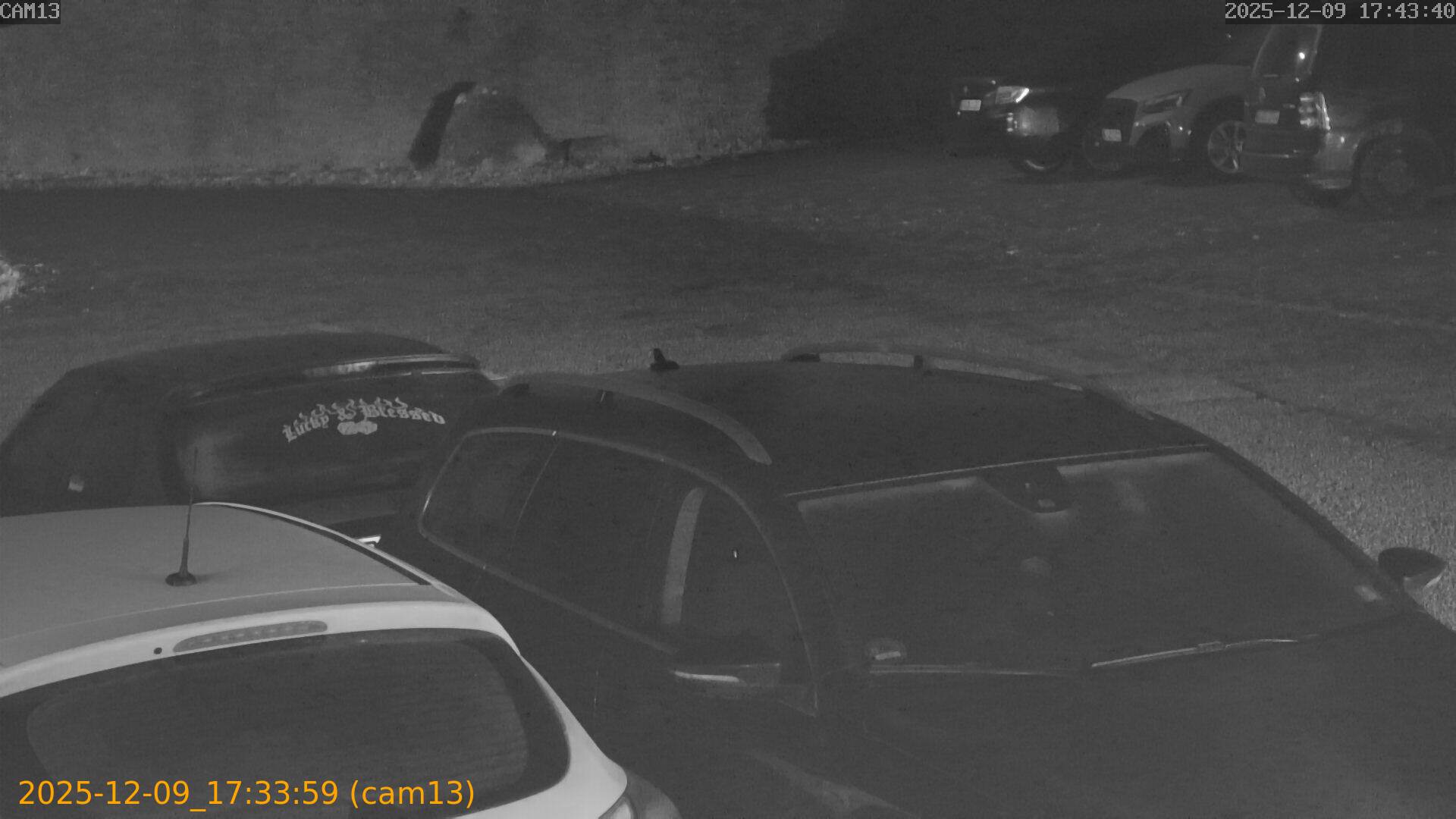 thumbnail_202512091733