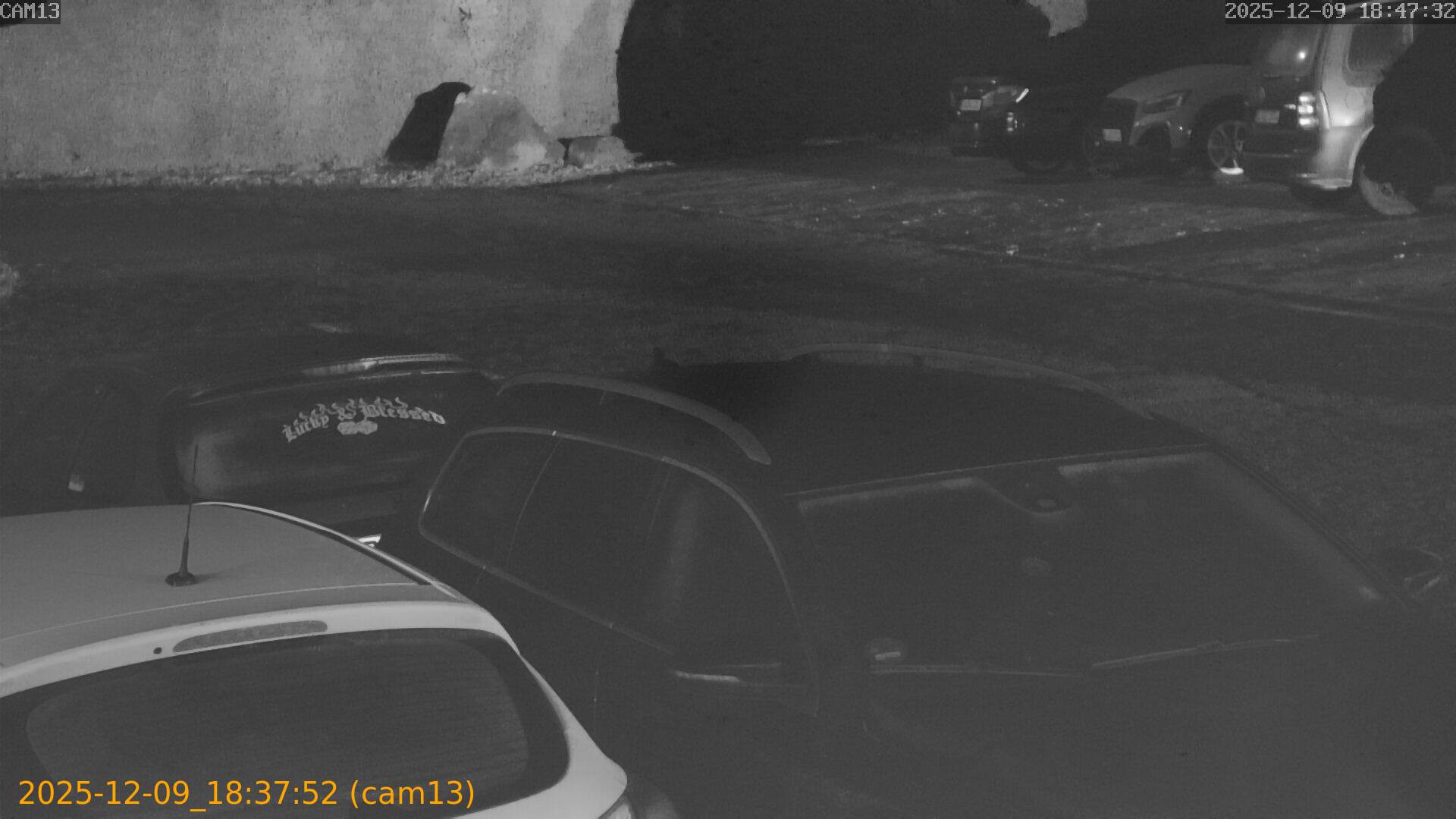 thumbnail_20251209183752