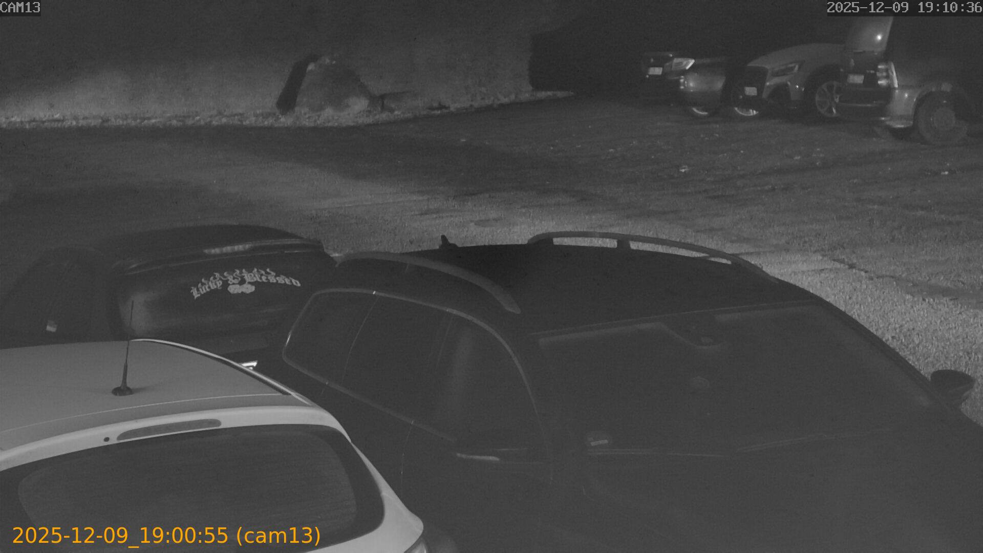 thumbnail_20251209190055