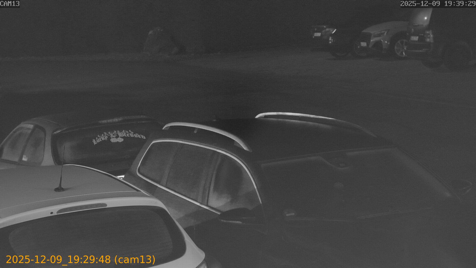 thumbnail_20251209192948