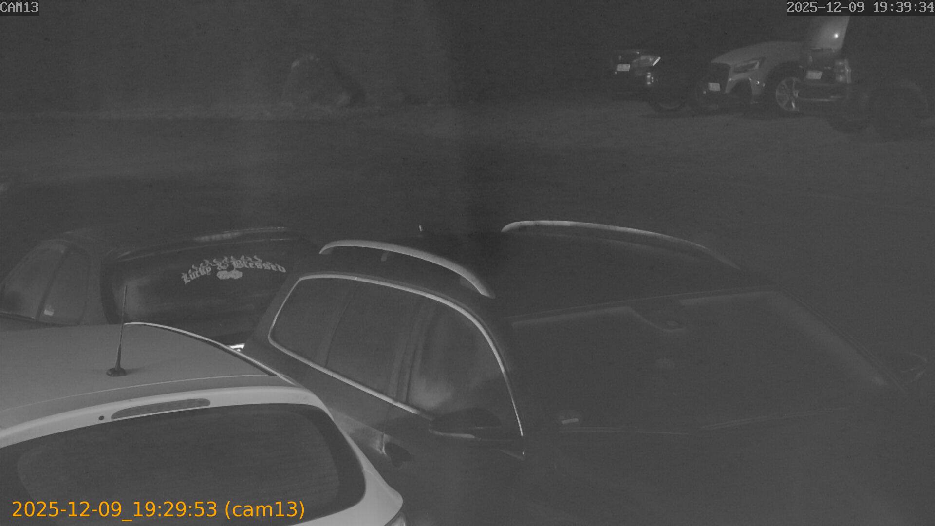 thumbnail_20251209192953