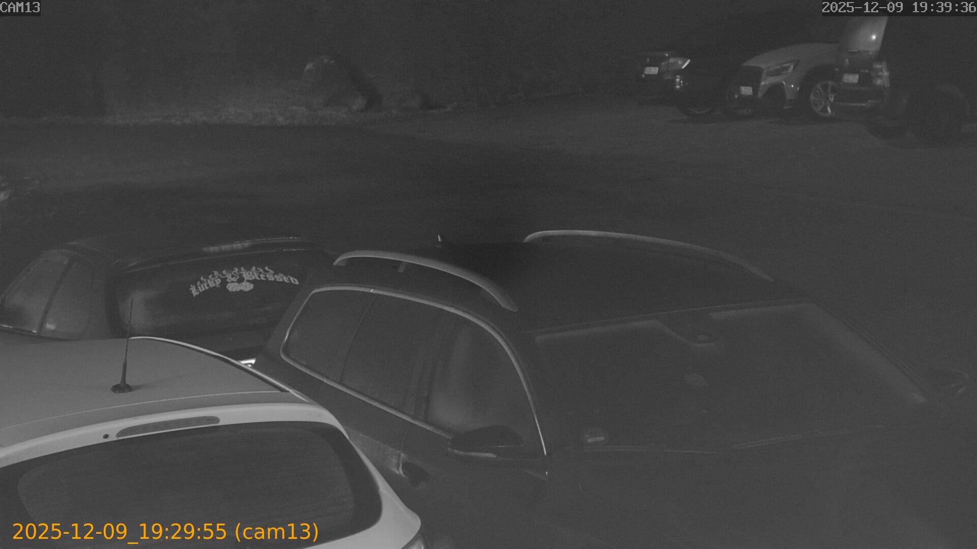 thumbnail_20251209192955