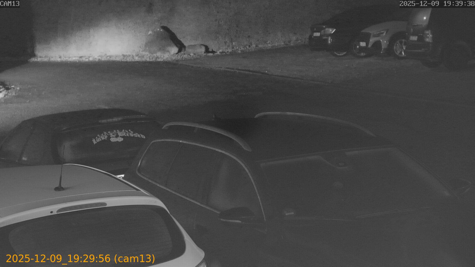 thumbnail_20251209192956