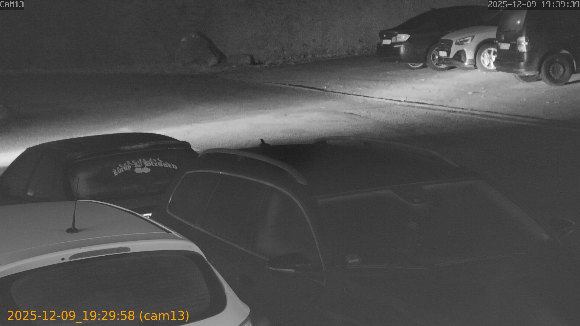 thumbnail_20251209192958