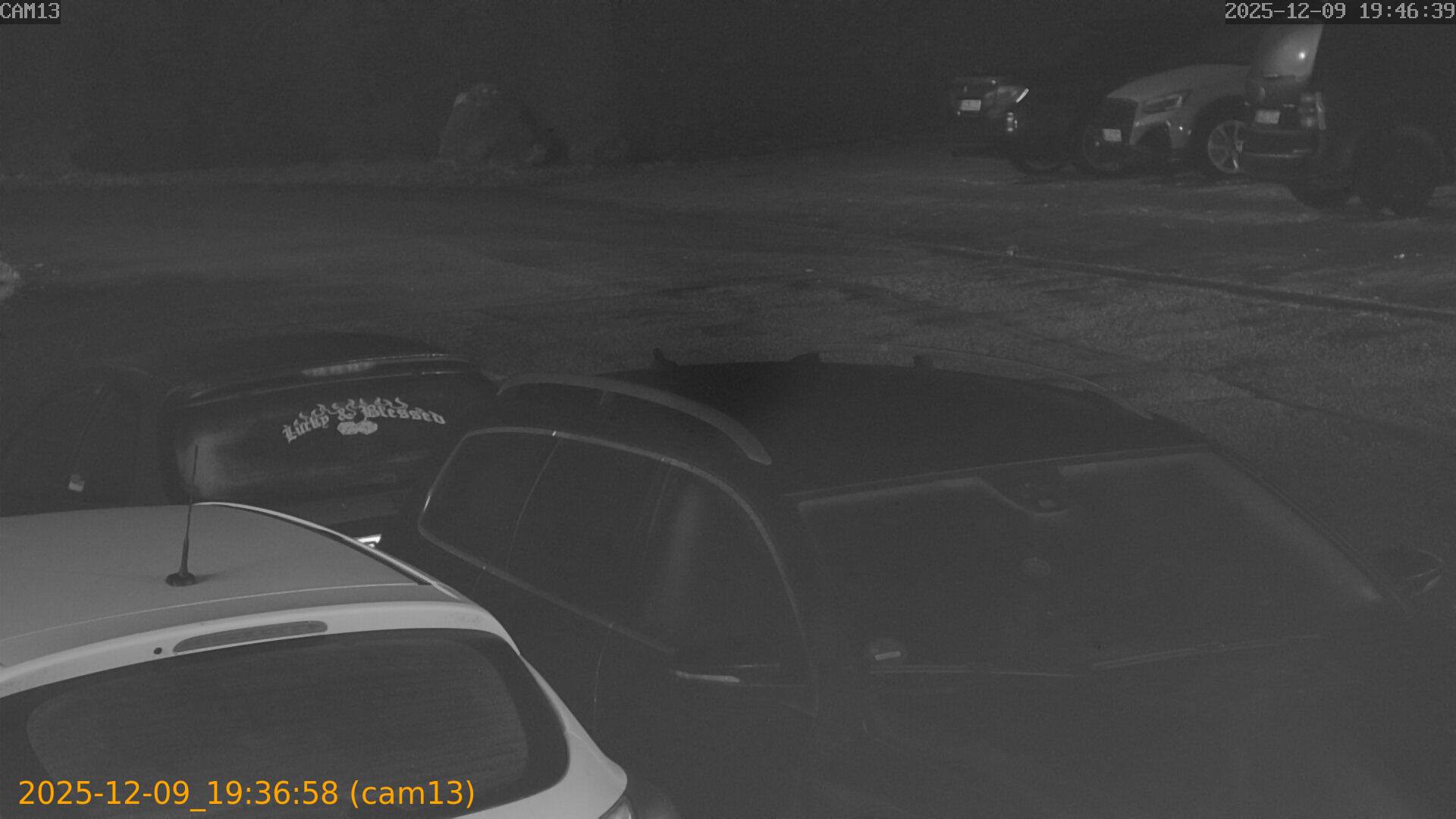 thumbnail_20251209193658