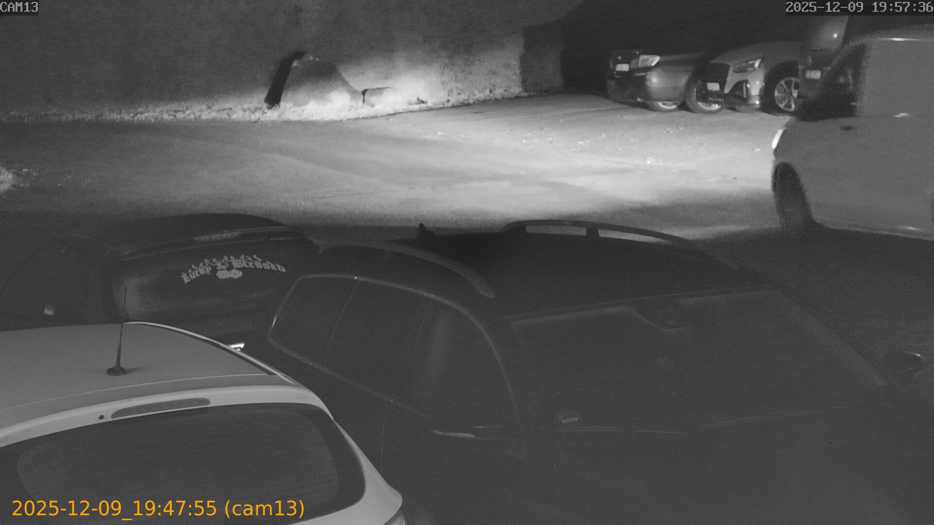 thumbnail_20251209194755