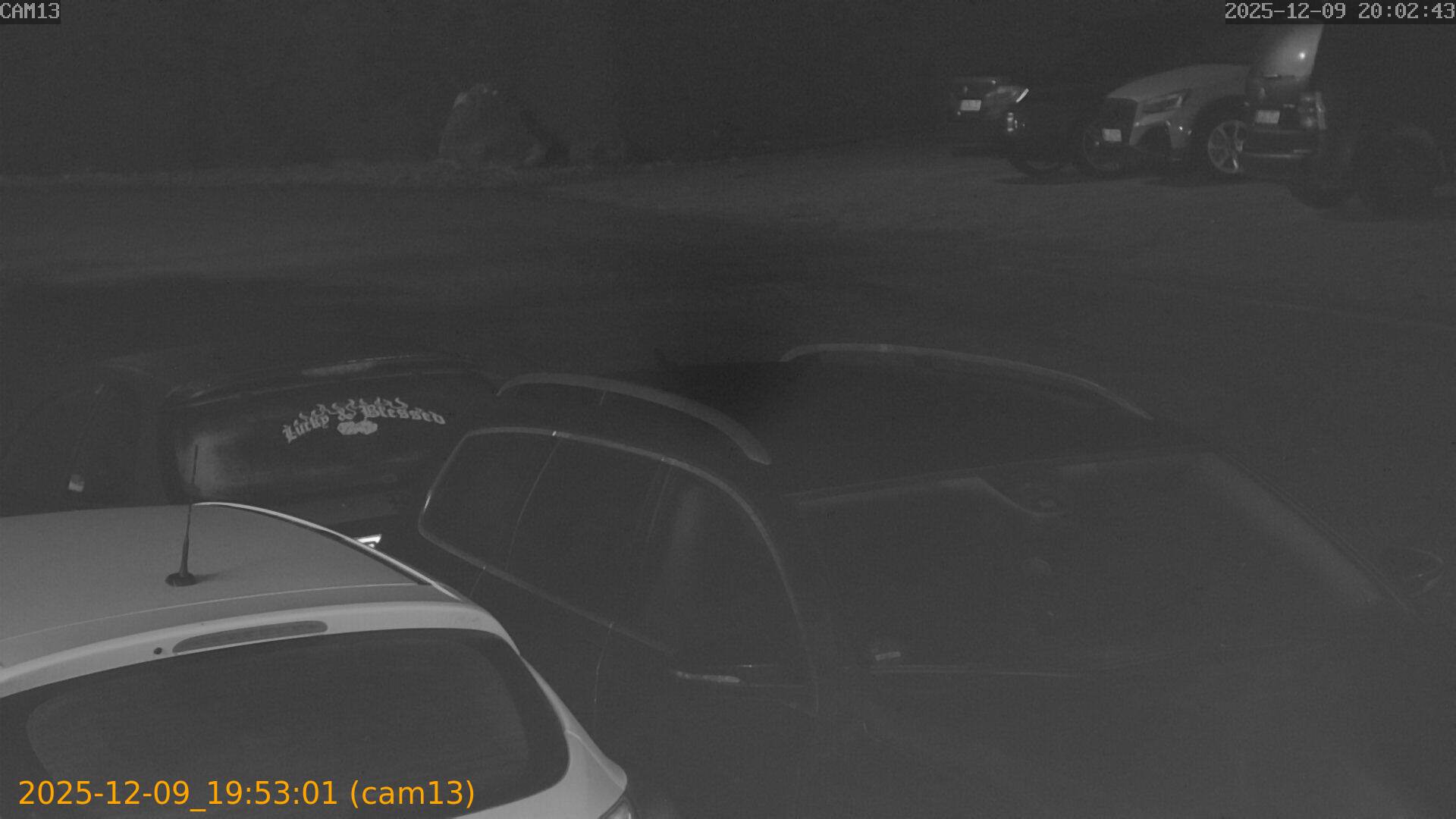 thumbnail_20251209195301