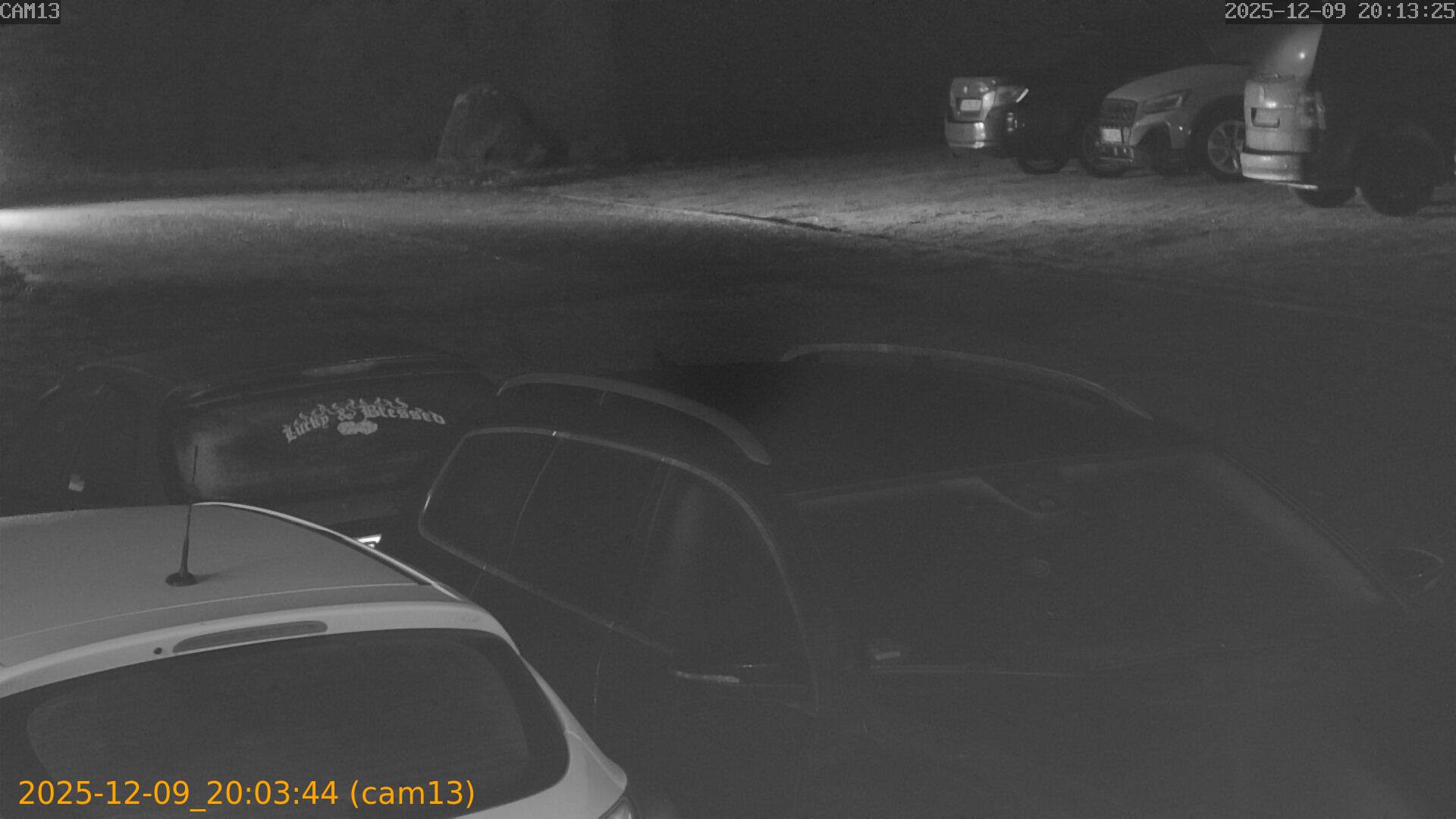 thumbnail_20251209200344