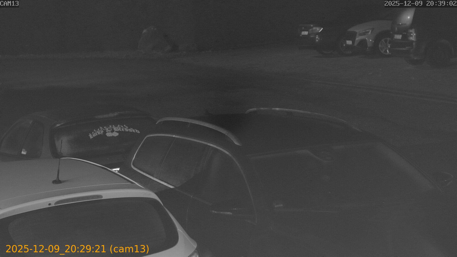 thumbnail_20251209202921