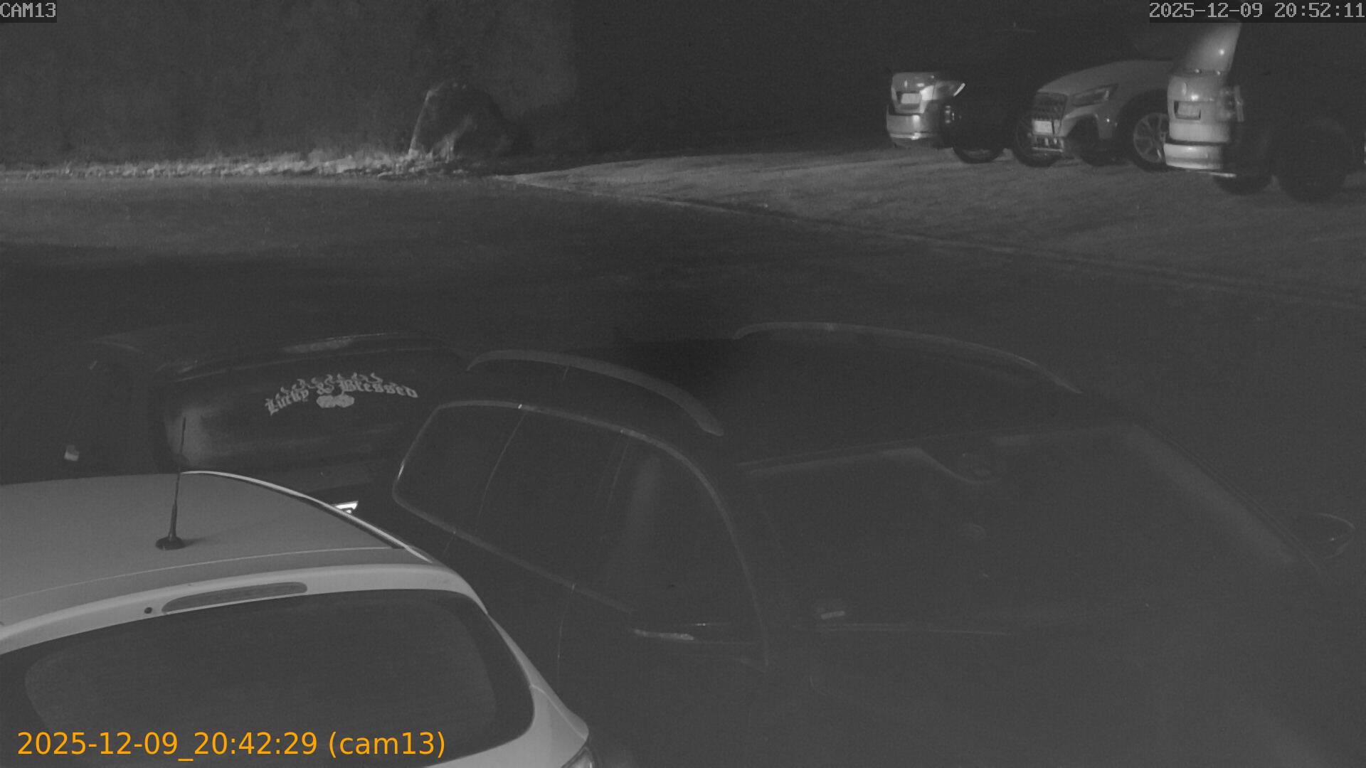 thumbnail_20251209204229