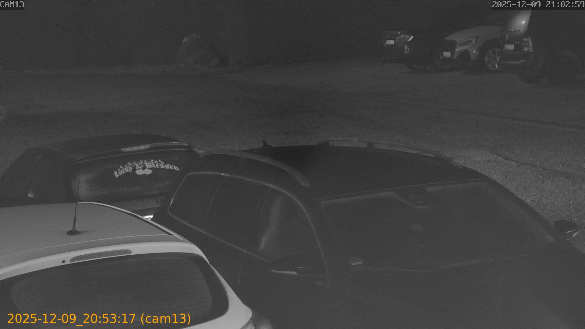 thumbnail_20251209205317