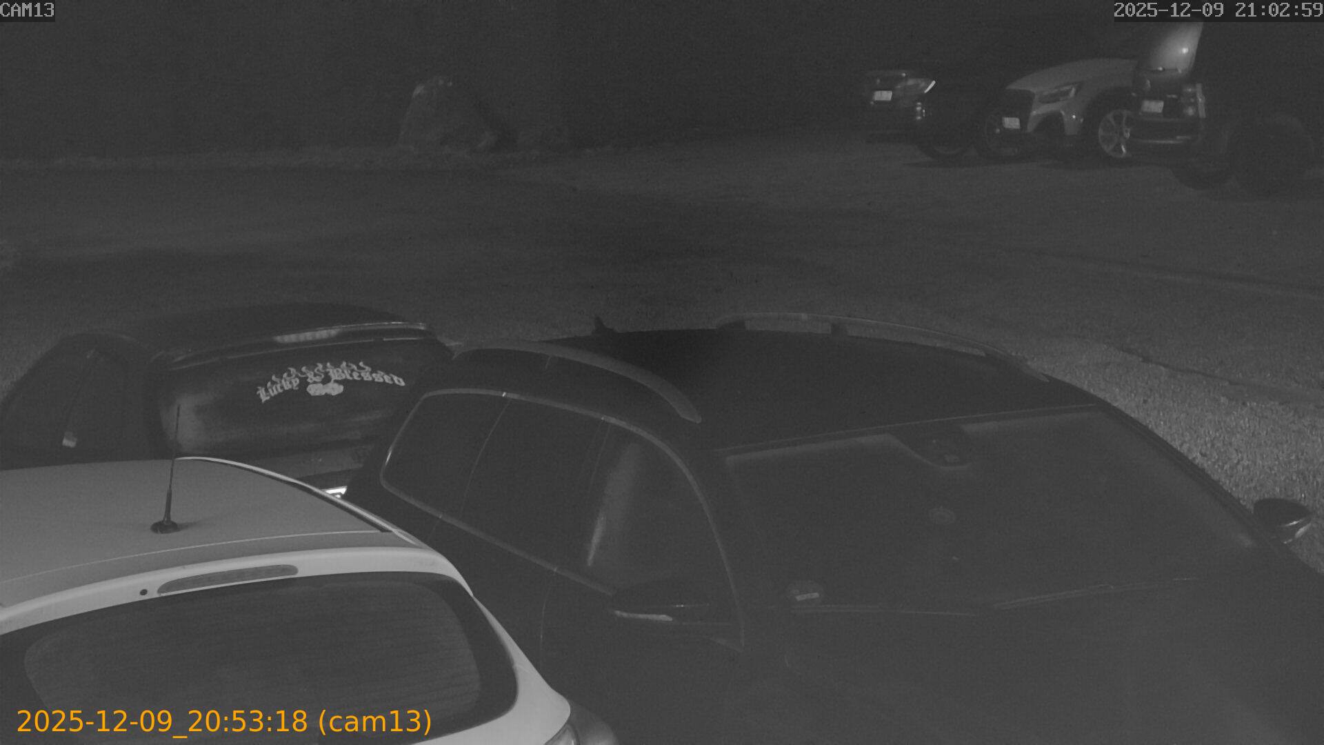 thumbnail_20251209205318