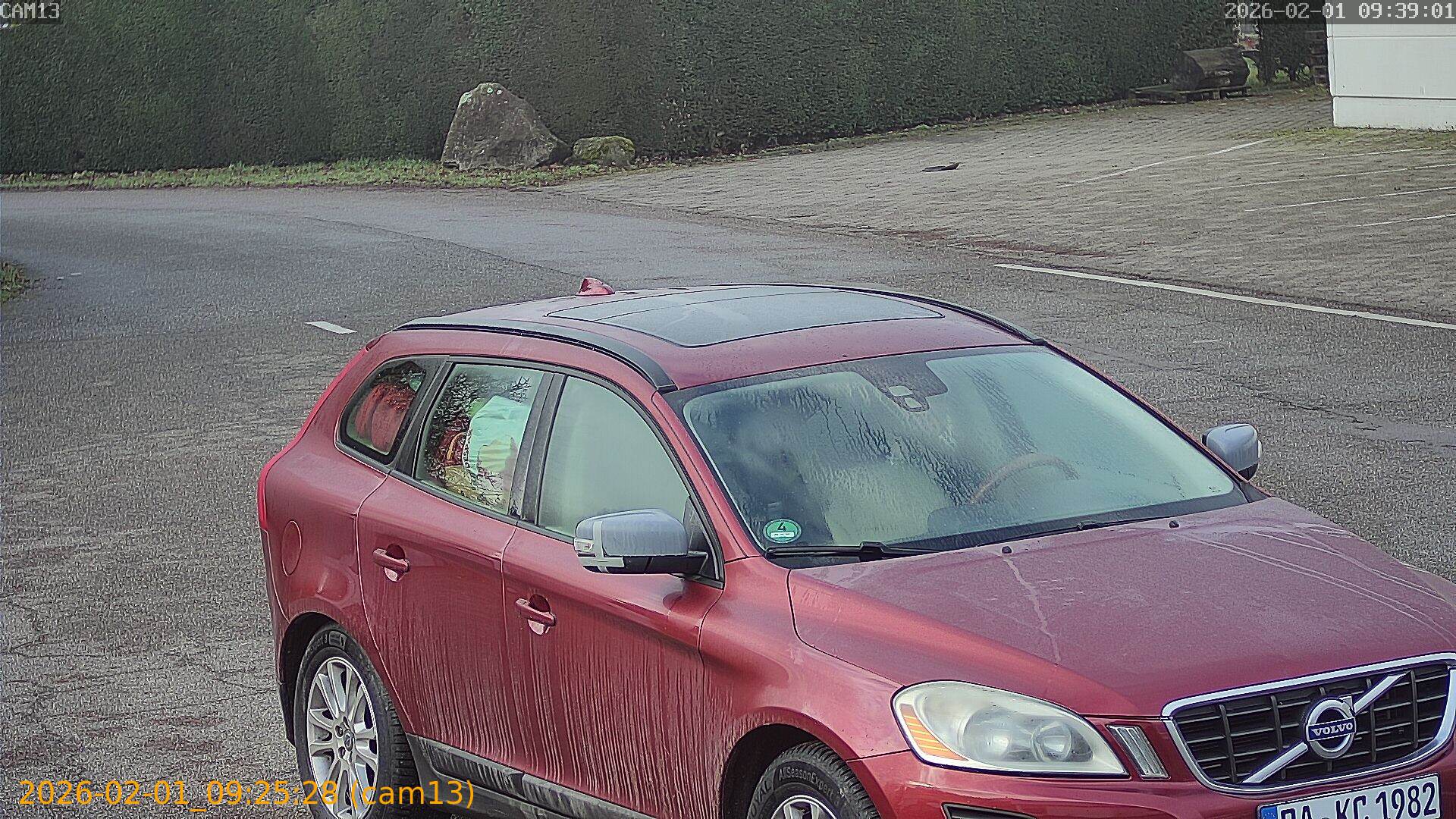 thumbnail_20260201092528