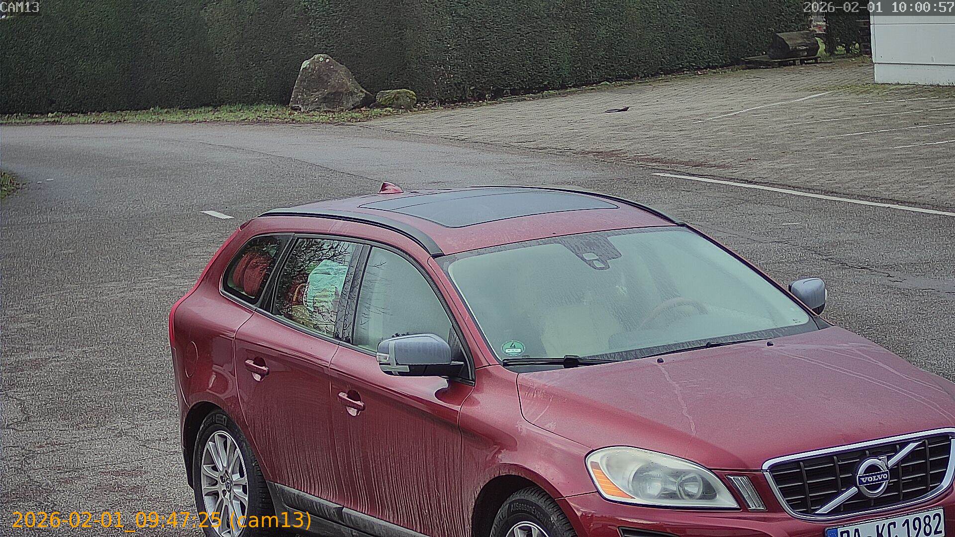 thumbnail_20260201094725