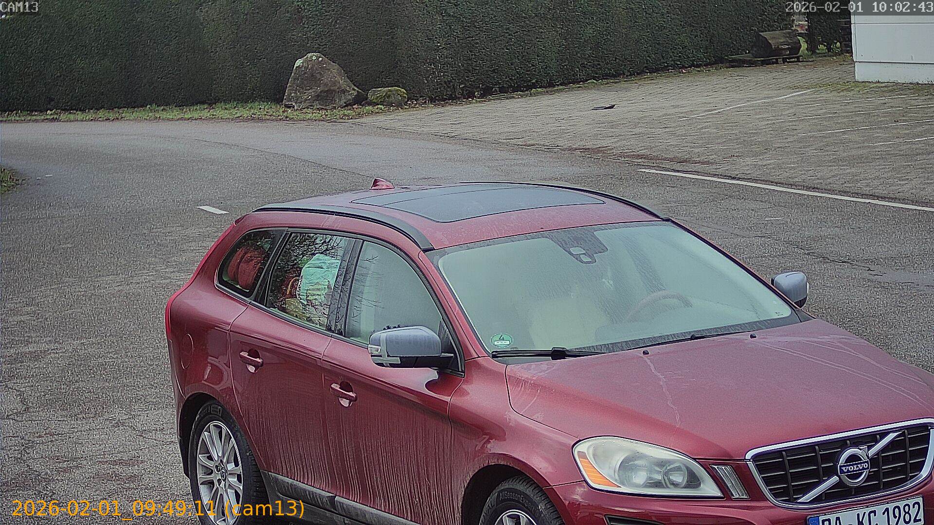 thumbnail_20260201094911