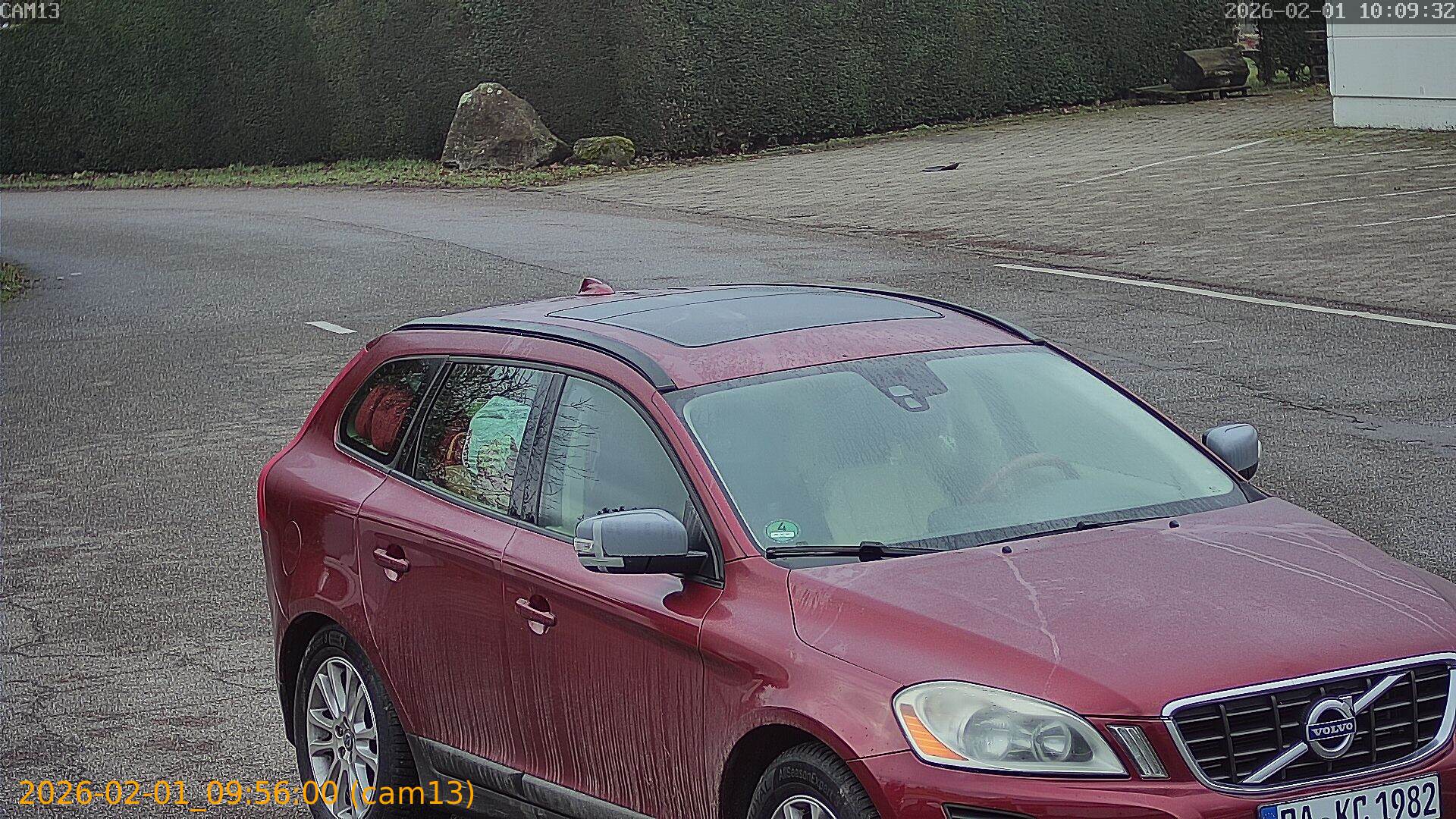 thumbnail_20260201095600