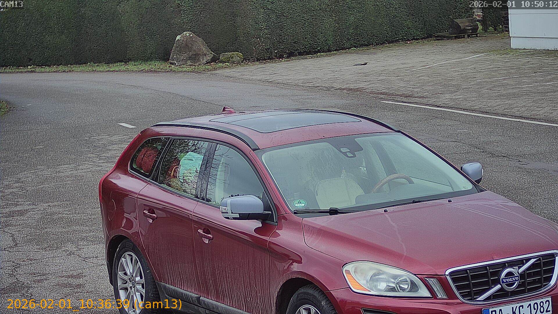 thumbnail_20260201103639