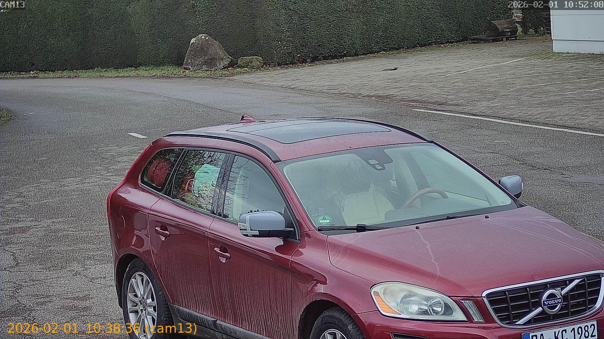 thumbnail_20260201103836