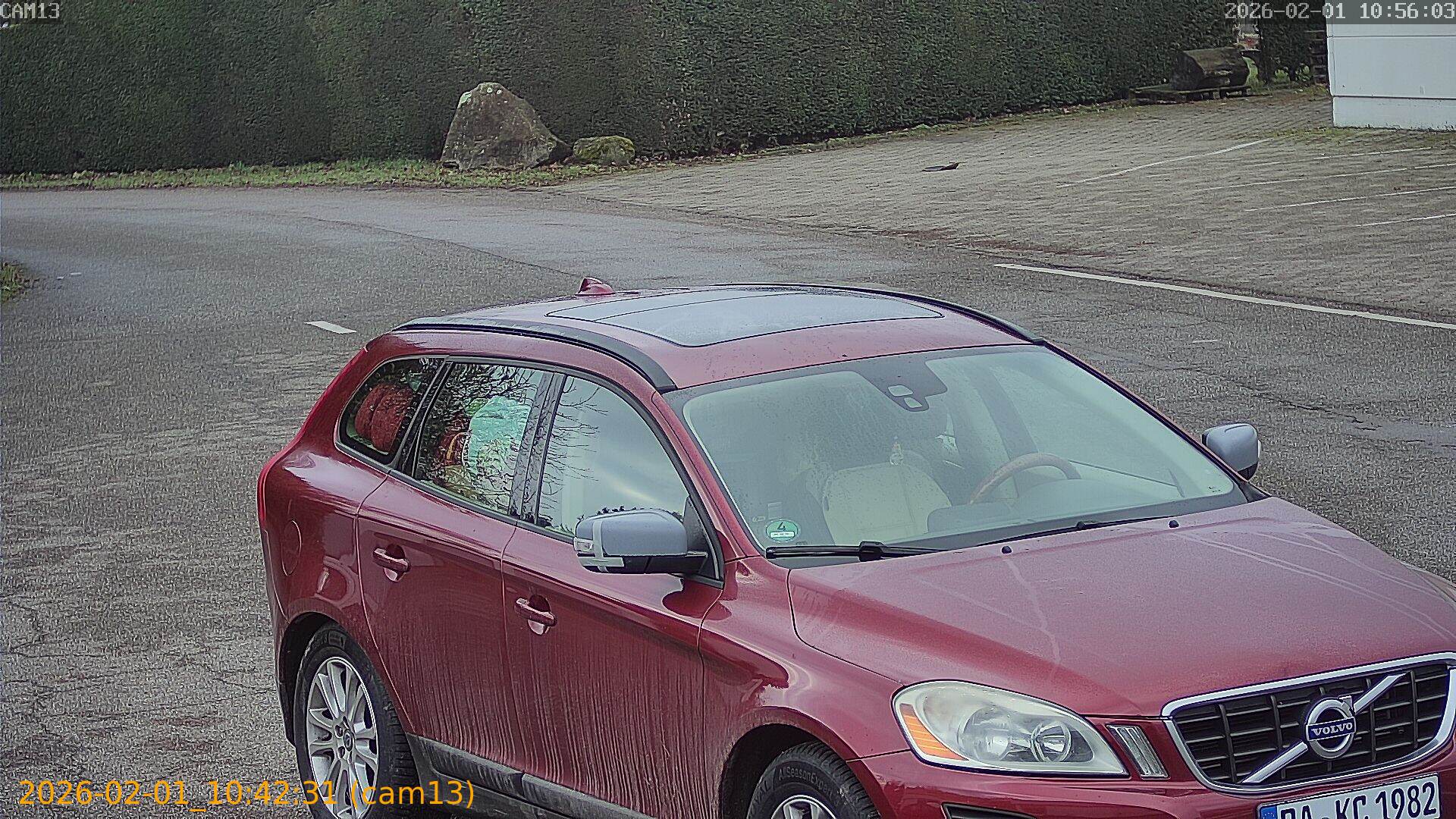 thumbnail_20260201104231