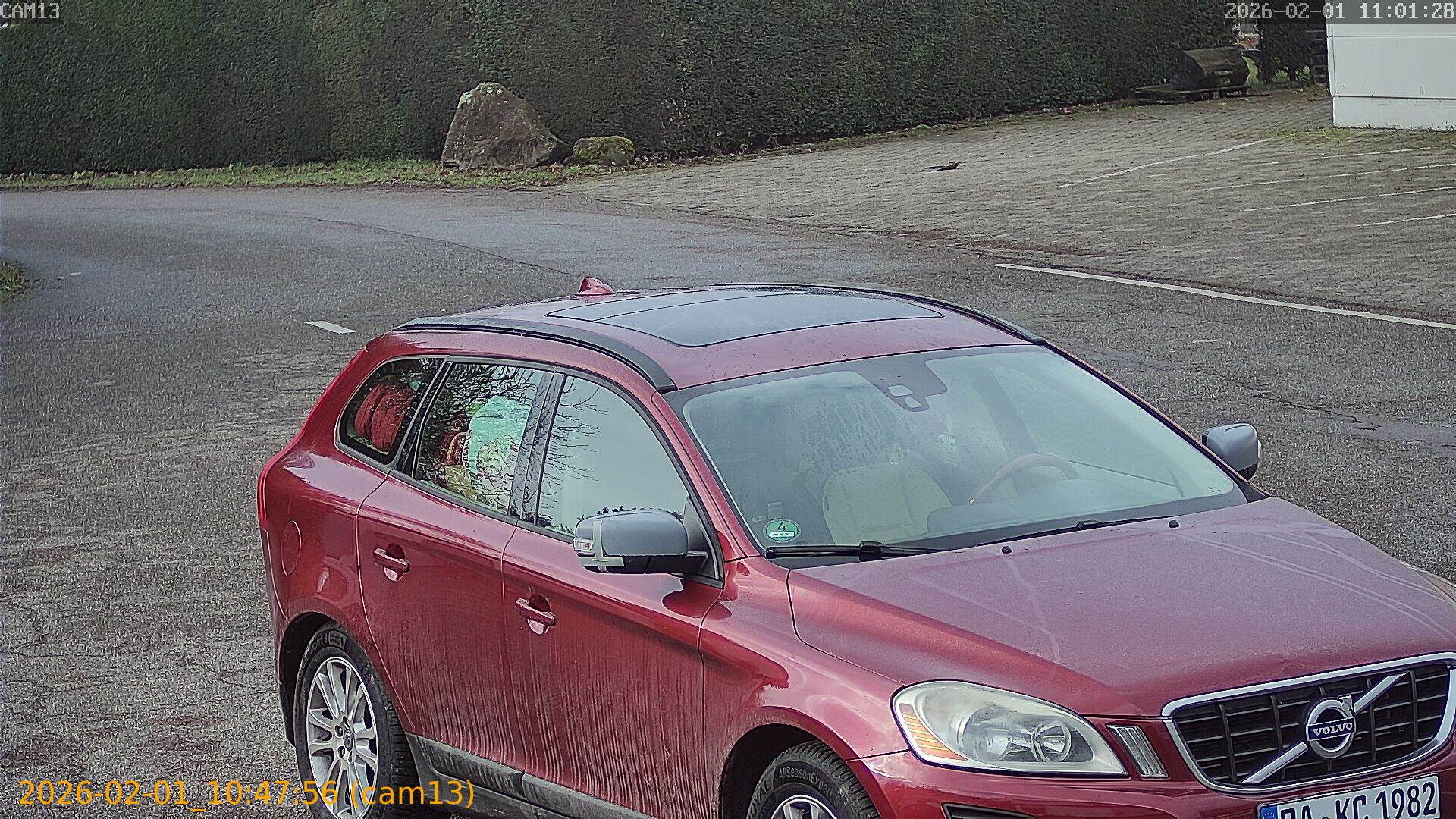 thumbnail_20260201104756