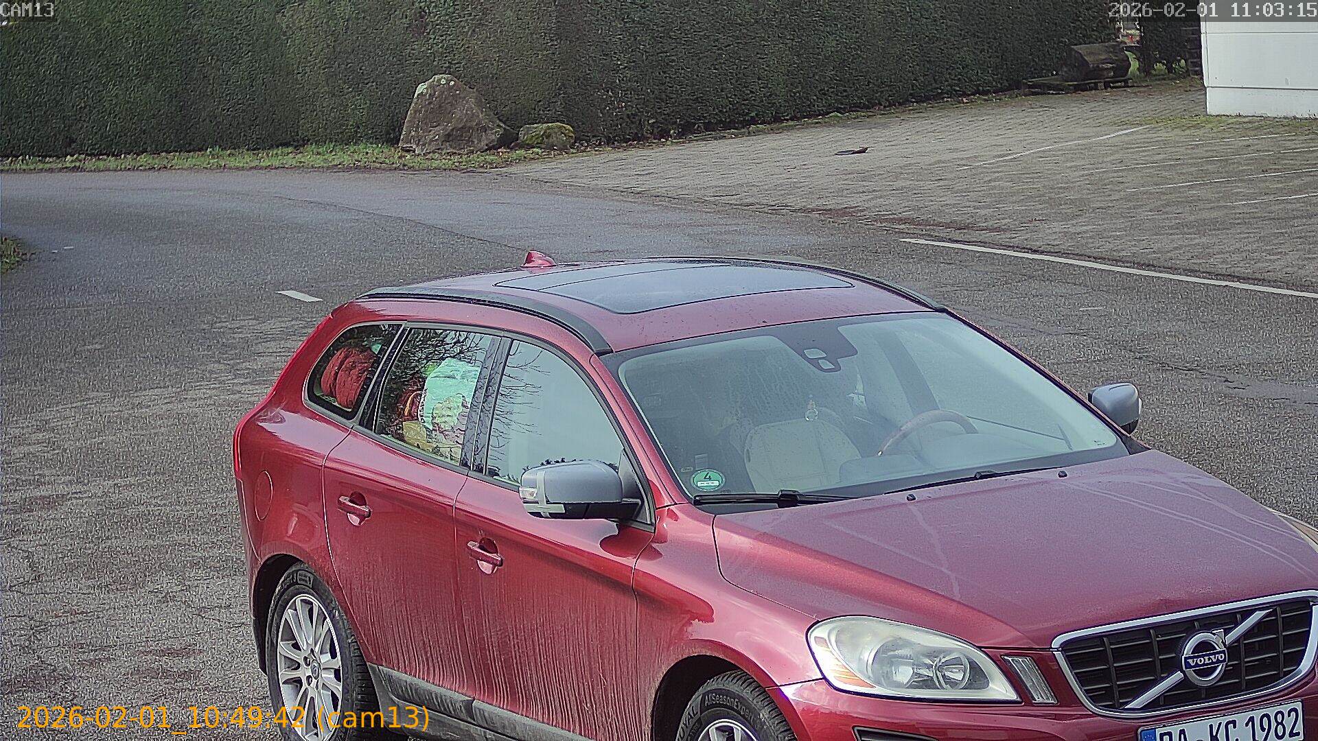 thumbnail_20260201104942