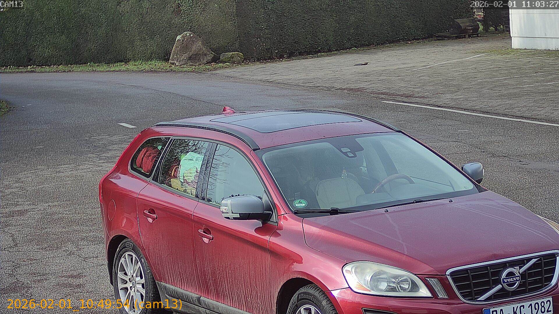 thumbnail_20260201104954