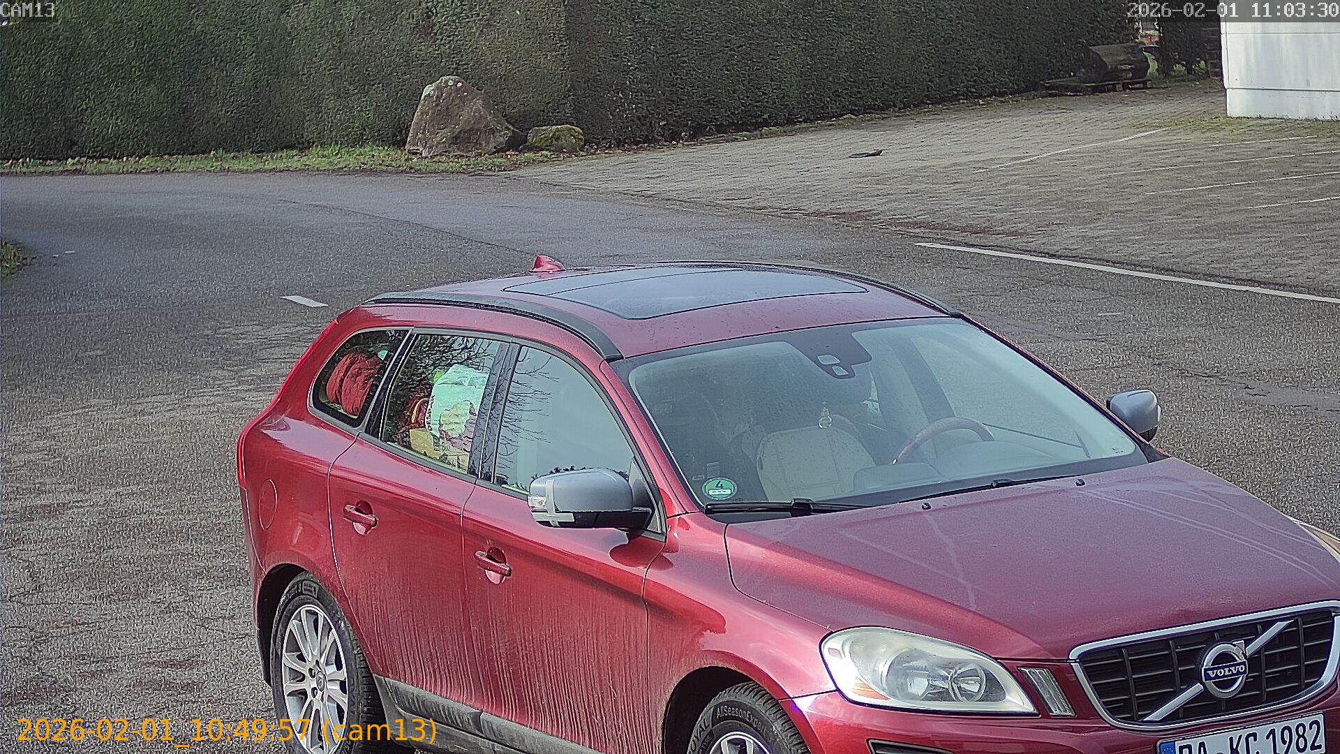 thumbnail_20260201104957