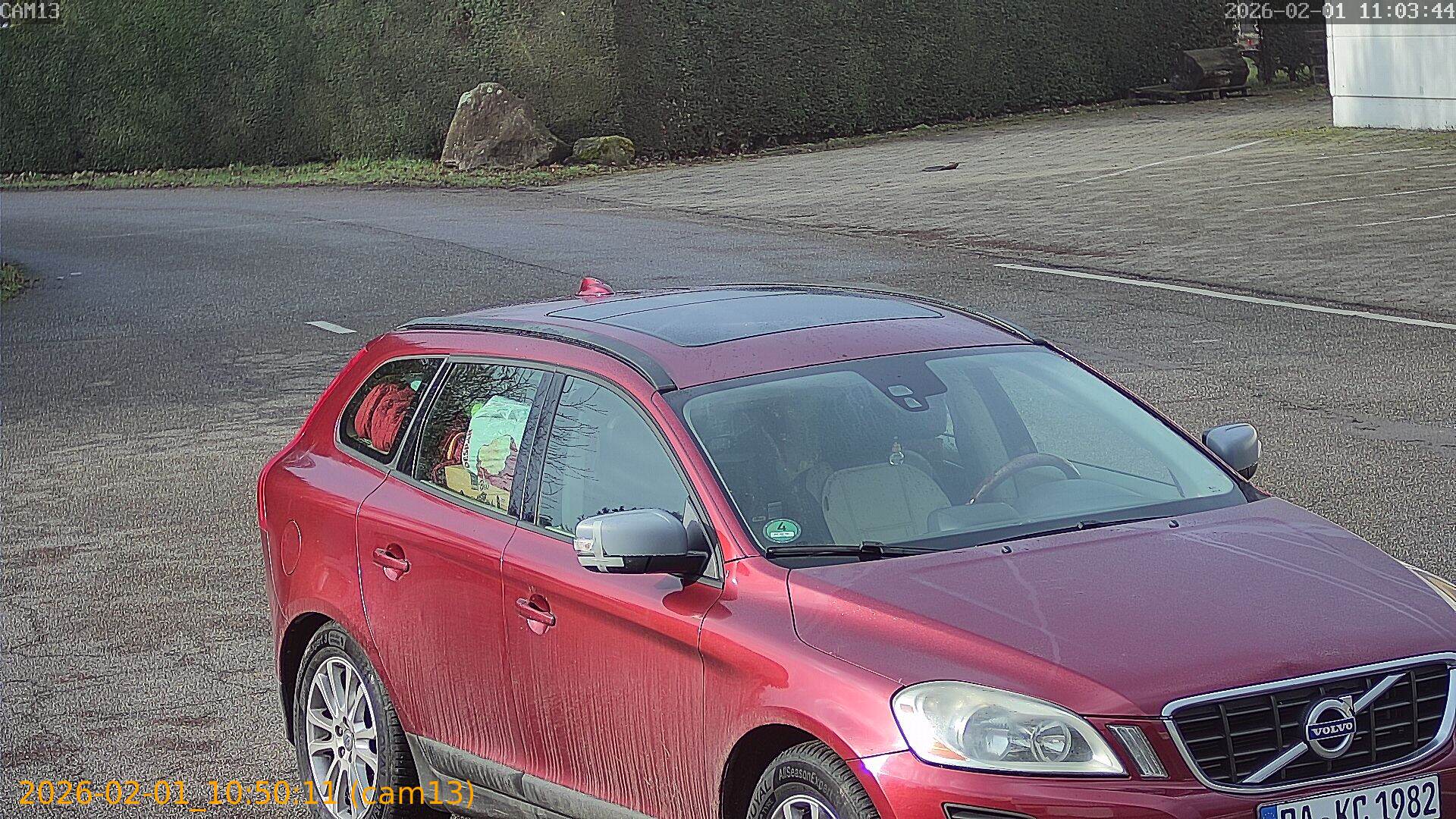 thumbnail_20260201105011