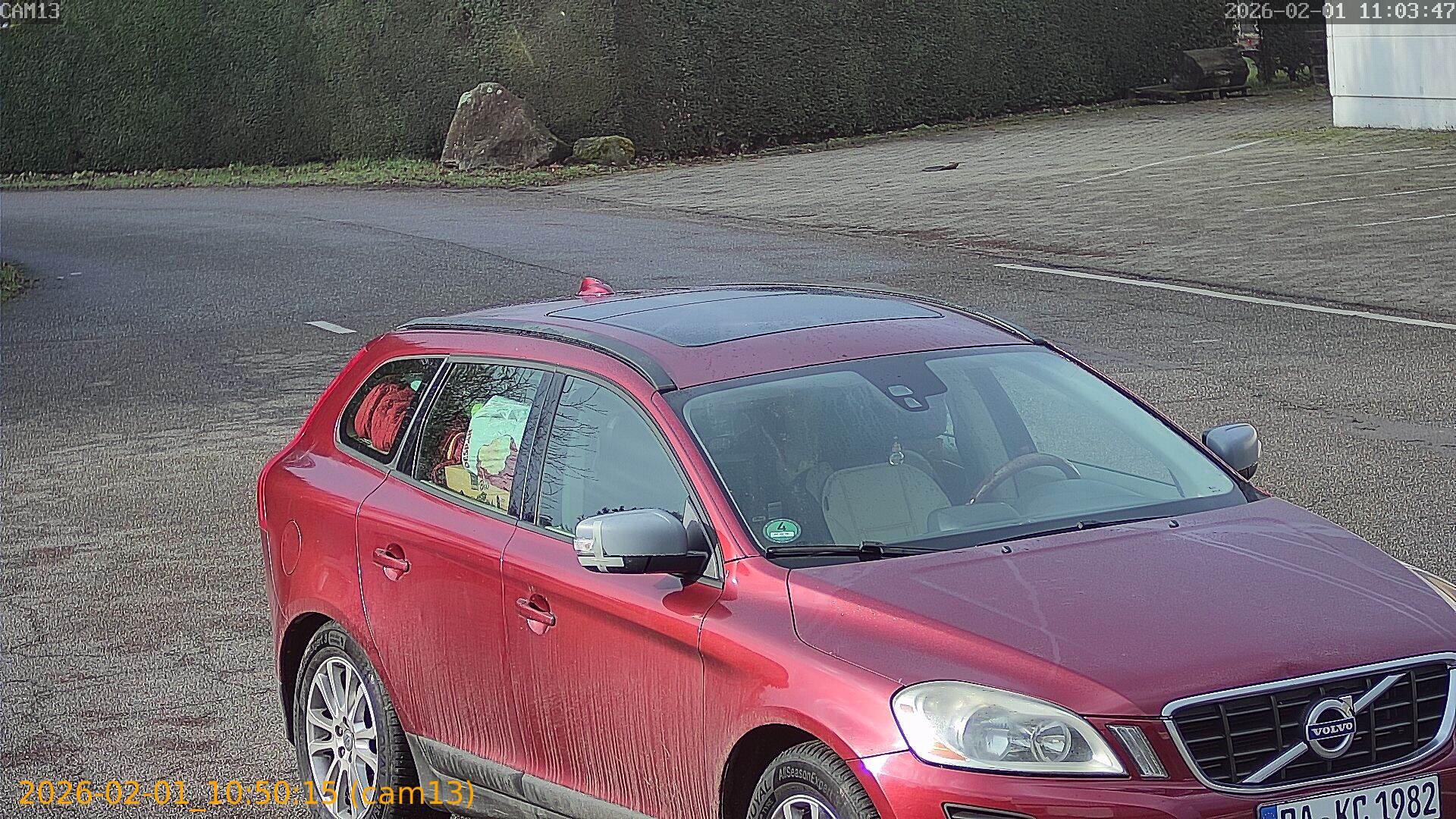 thumbnail_20260201105015