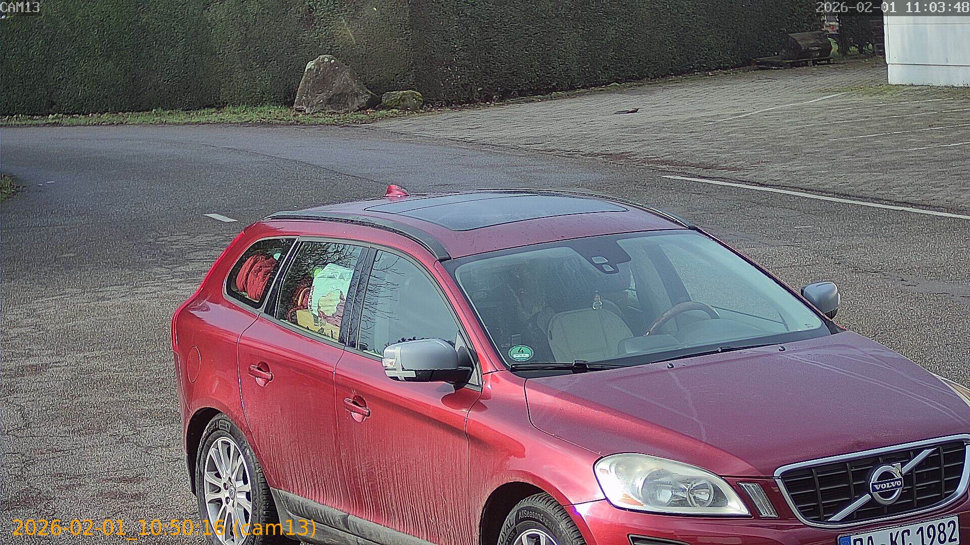 thumbnail_20260201105016