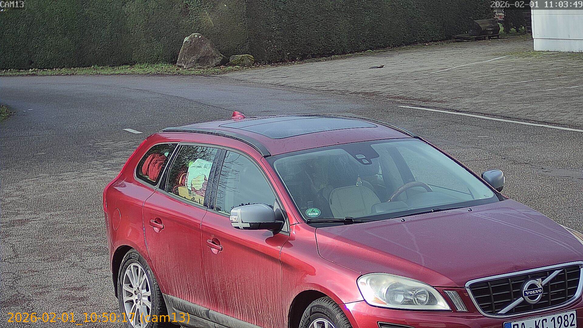 thumbnail_20260201105017