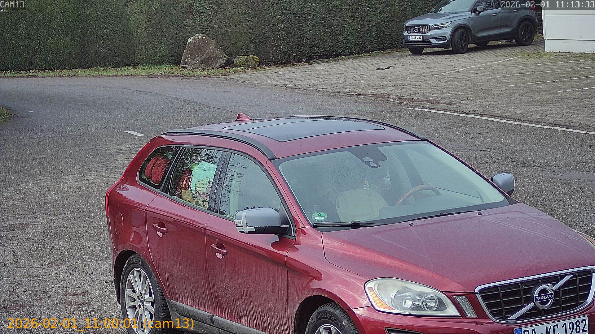 thumbnail_20260201110001