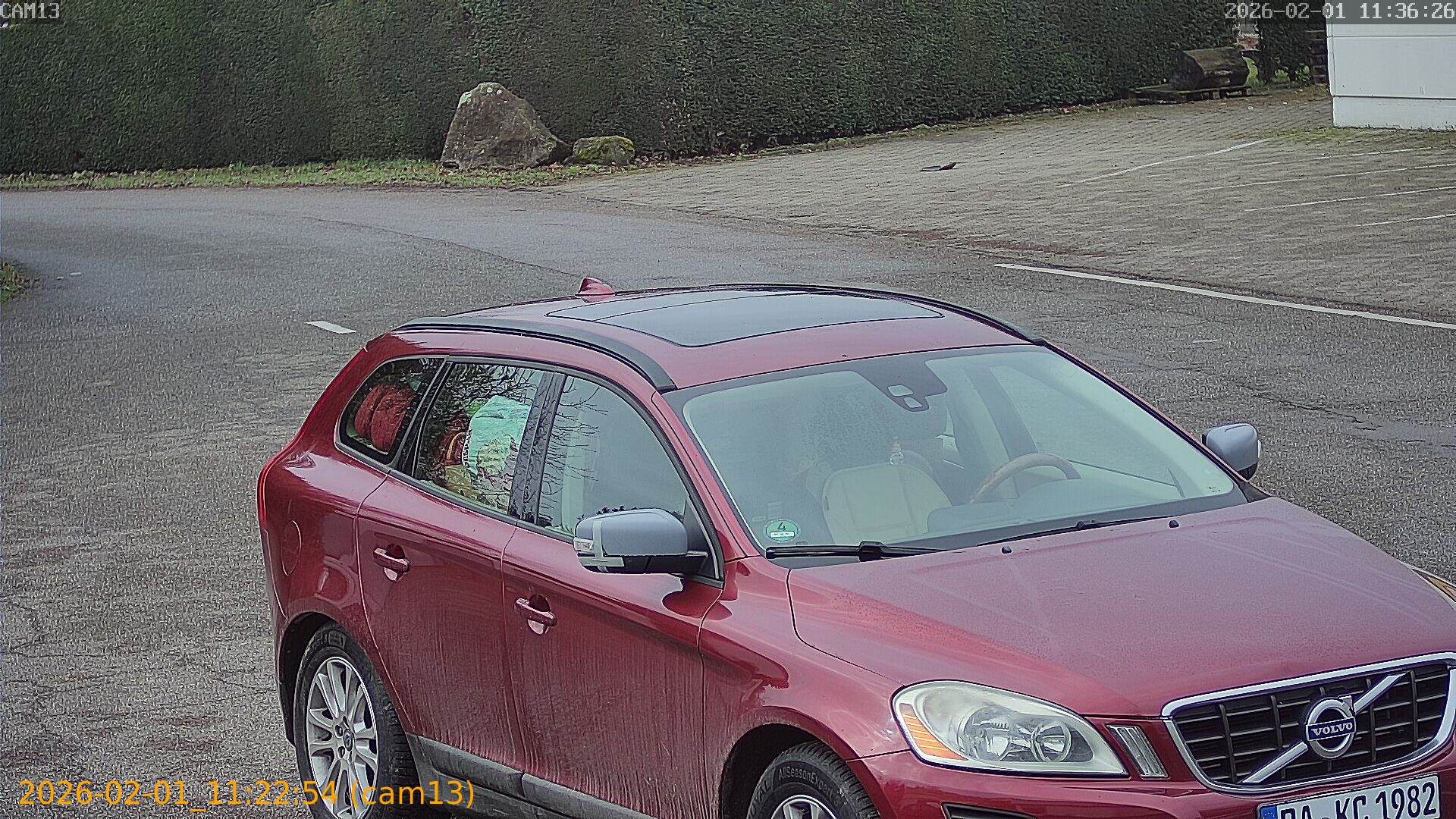 thumbnail_20260201112253