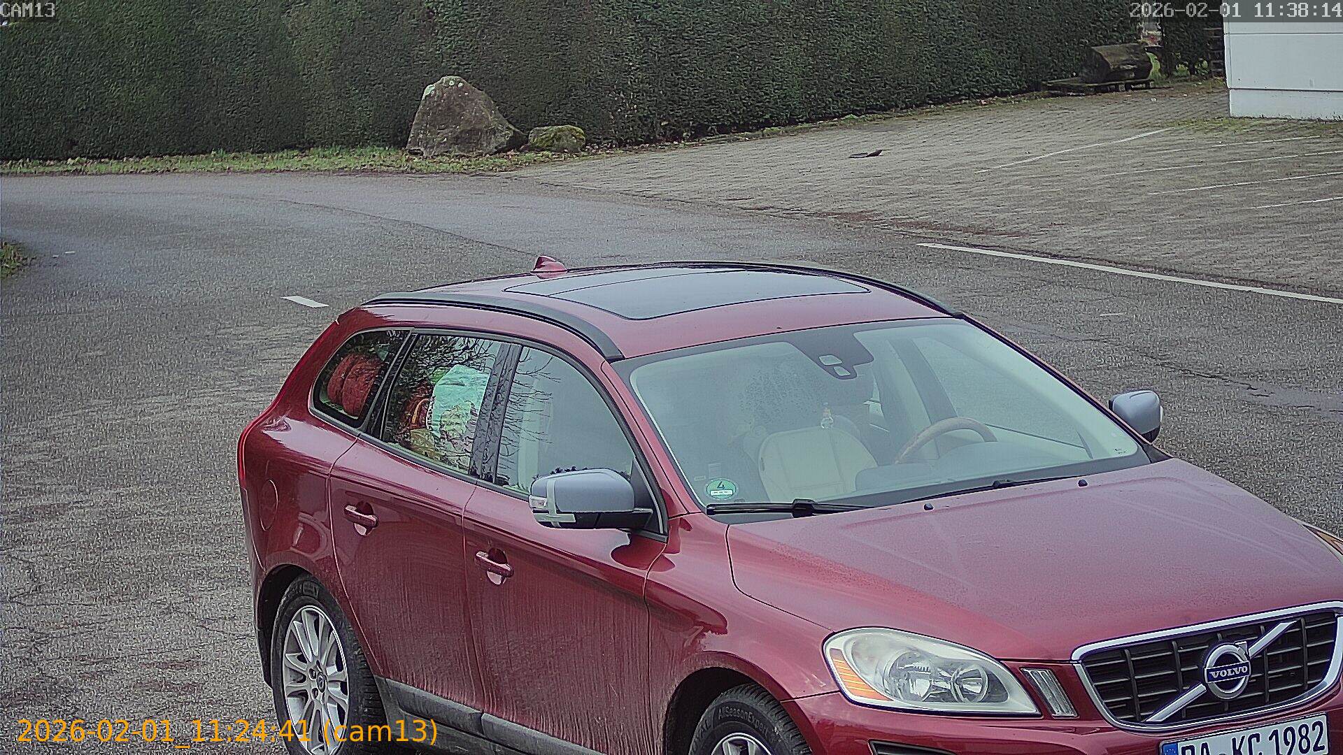 thumbnail_20260201112441