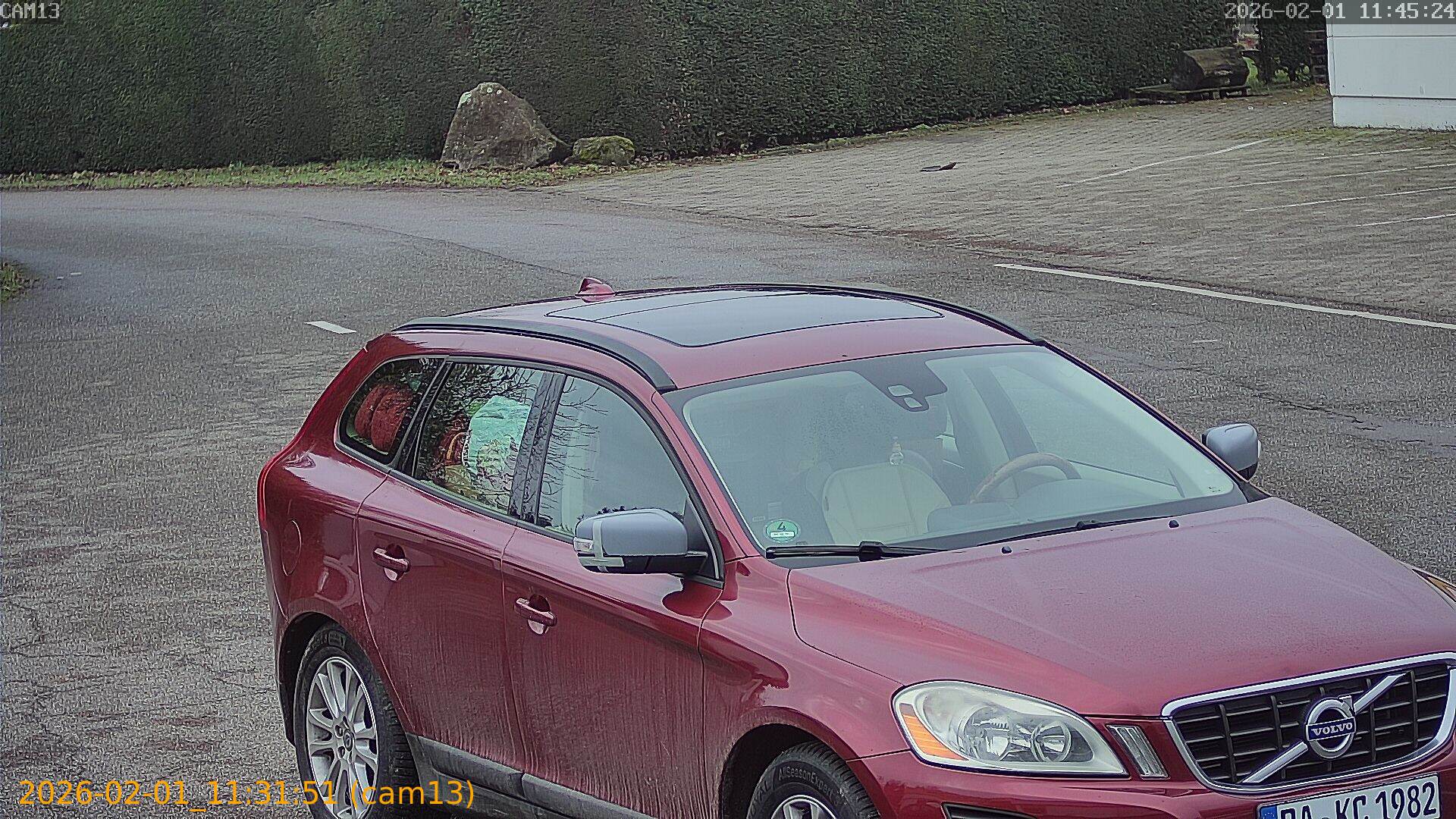 thumbnail_20260201113151